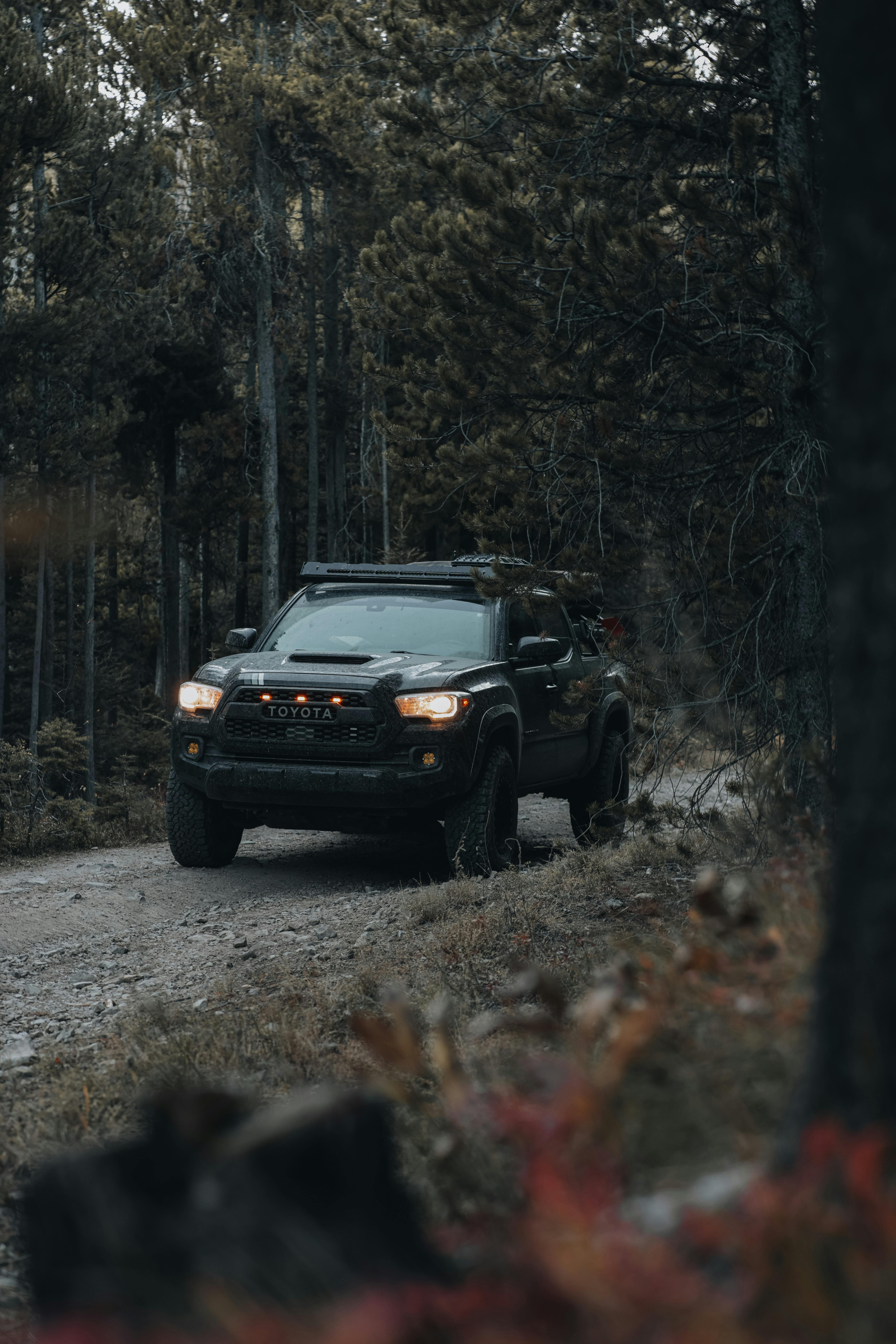 Offorad Car Driving on Road in Forest