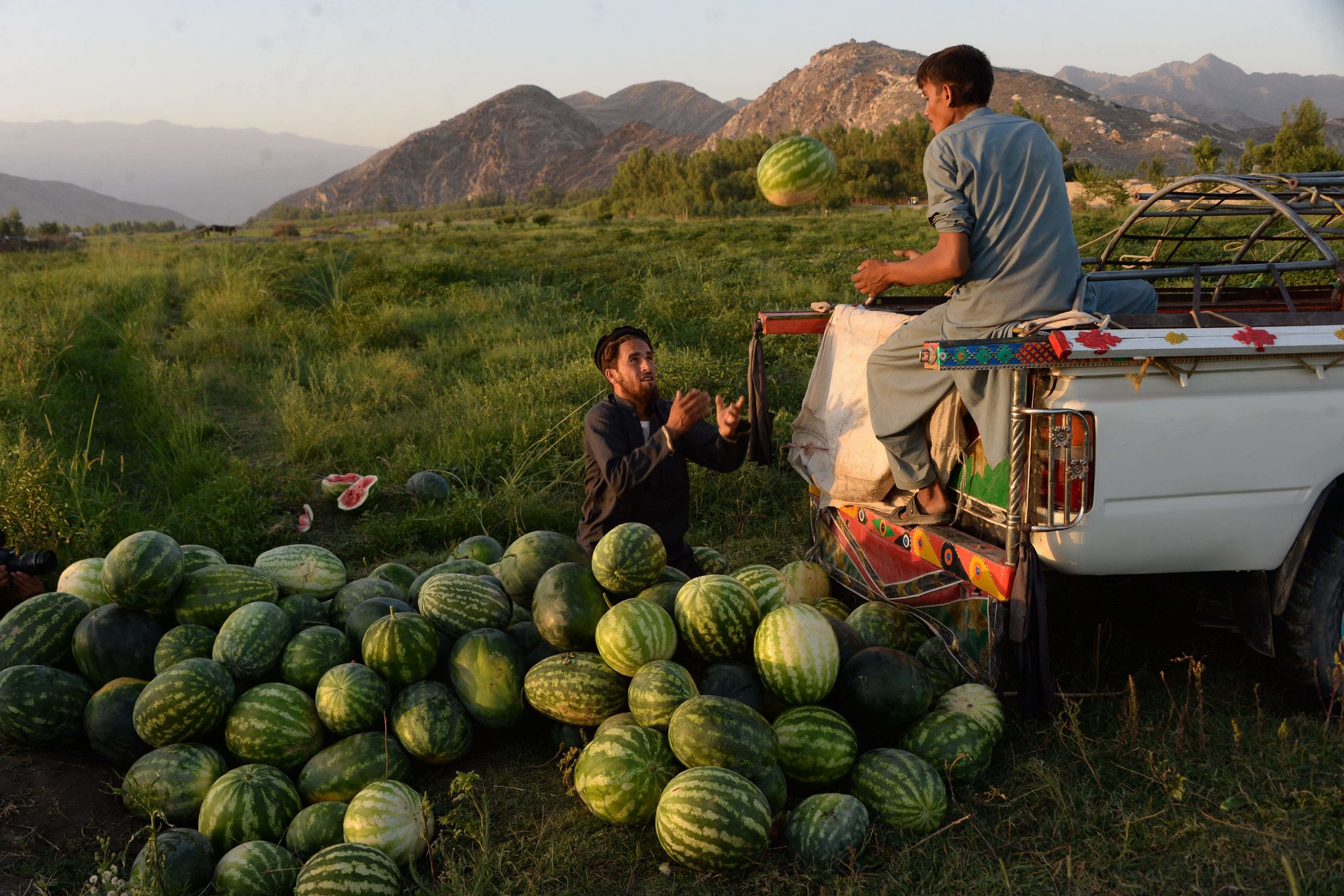 How to Help Afghan Farmers? Gorge