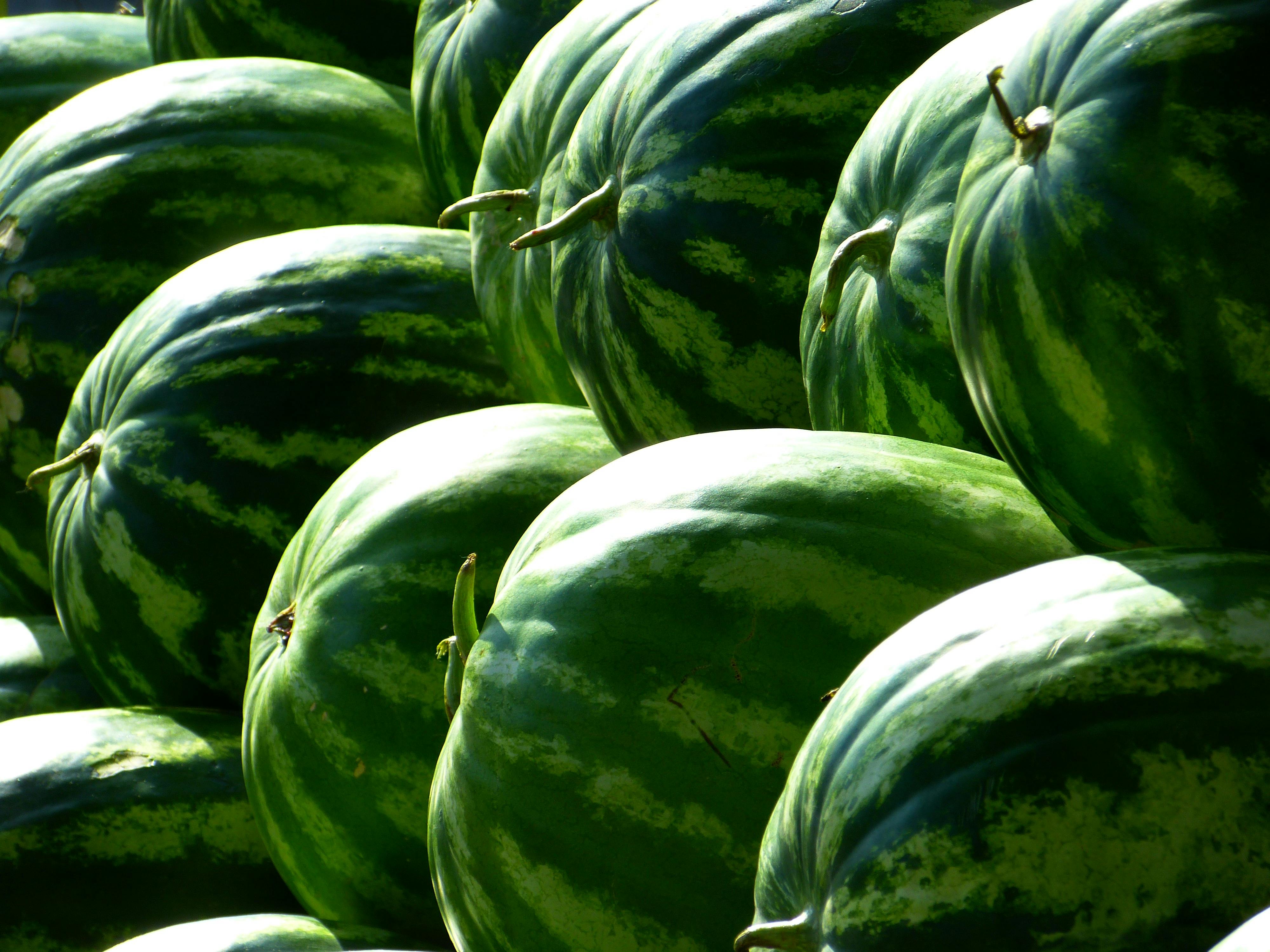 Watermelon Photo, Download The BEST