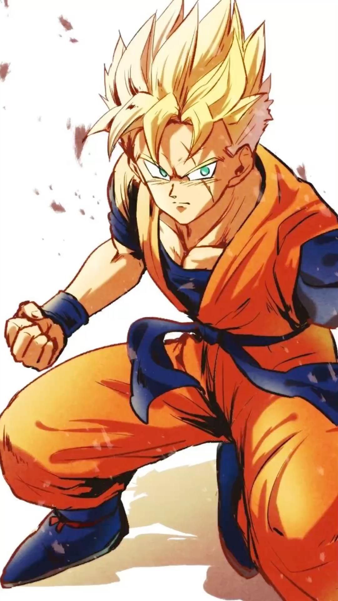 SSJ Gohan (Future). Anime Dragon Ball Goku