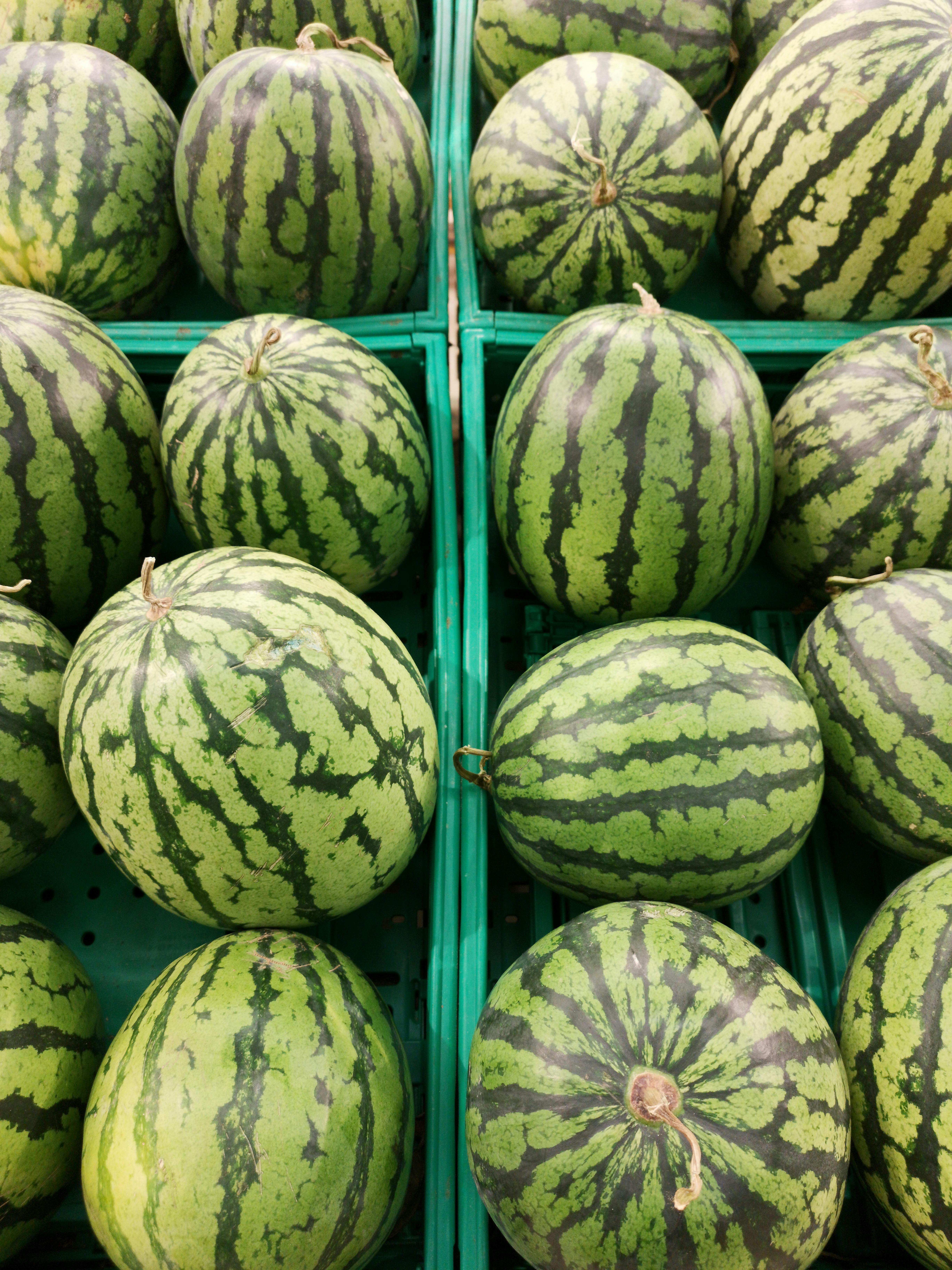 Watermelon Photo, Download The BEST
