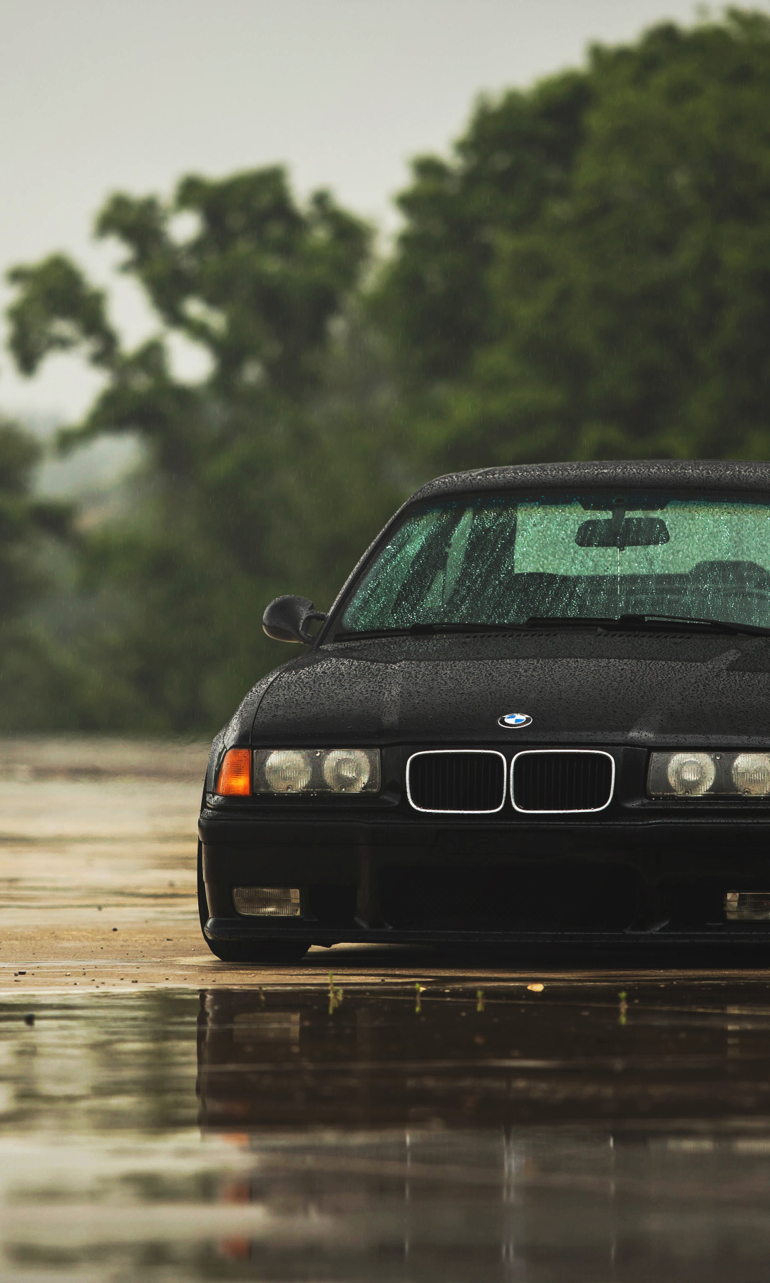 wallpaper rain, BMW, BMW, black, black