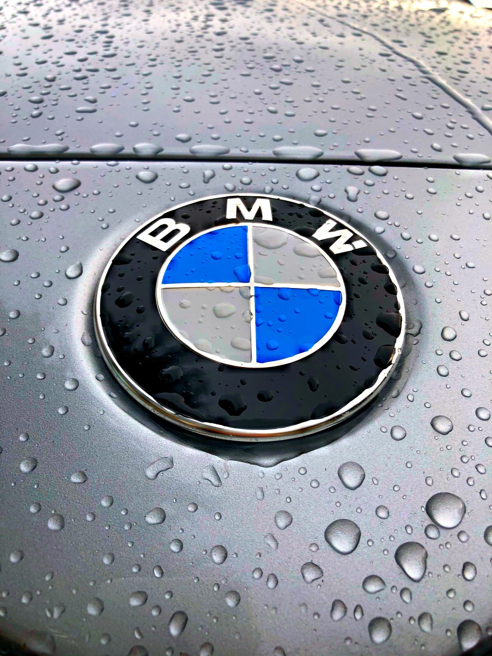 Bmw Car Logo photo