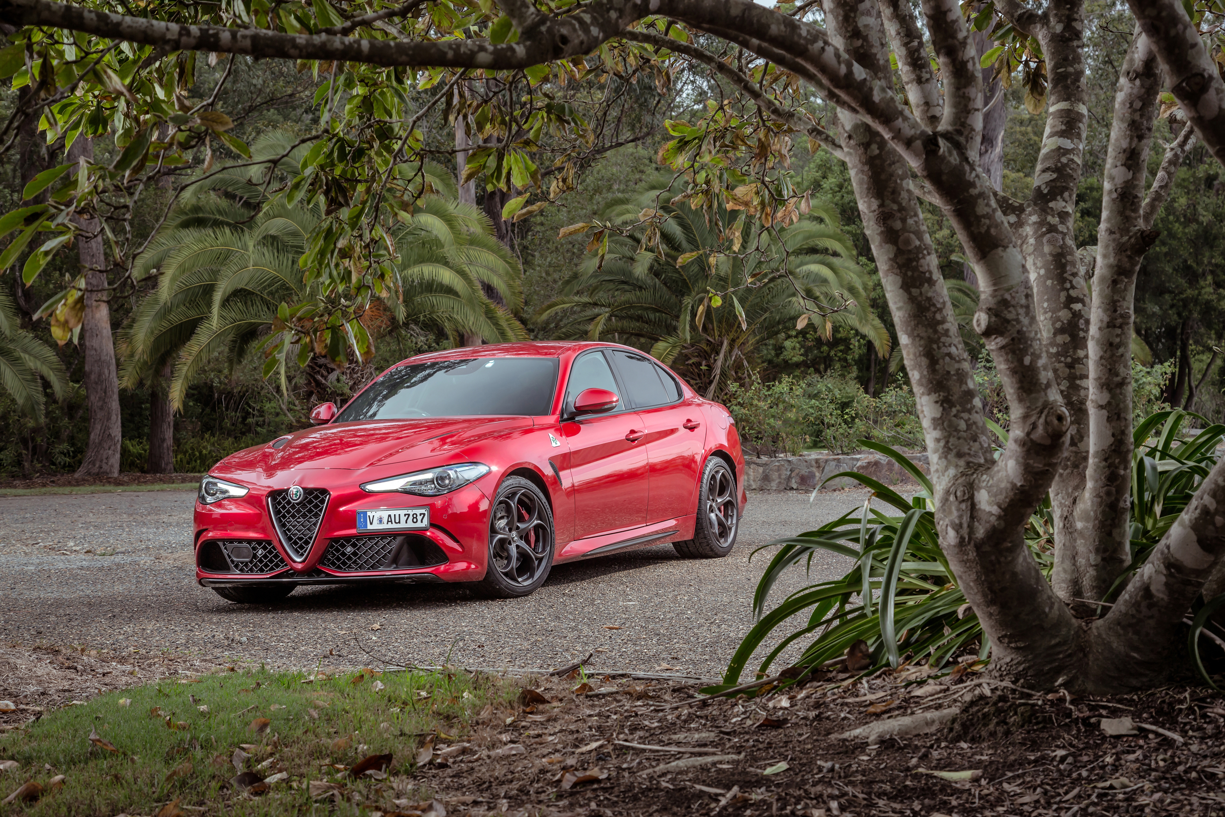 Download Alfa Romeo Giulia wallpaper