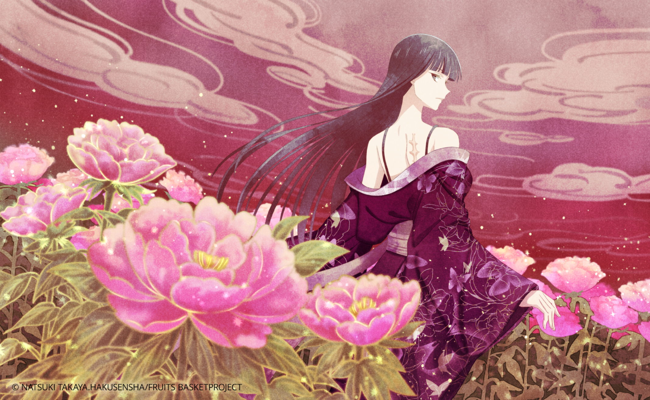 Isuzu Sohma HD Delight