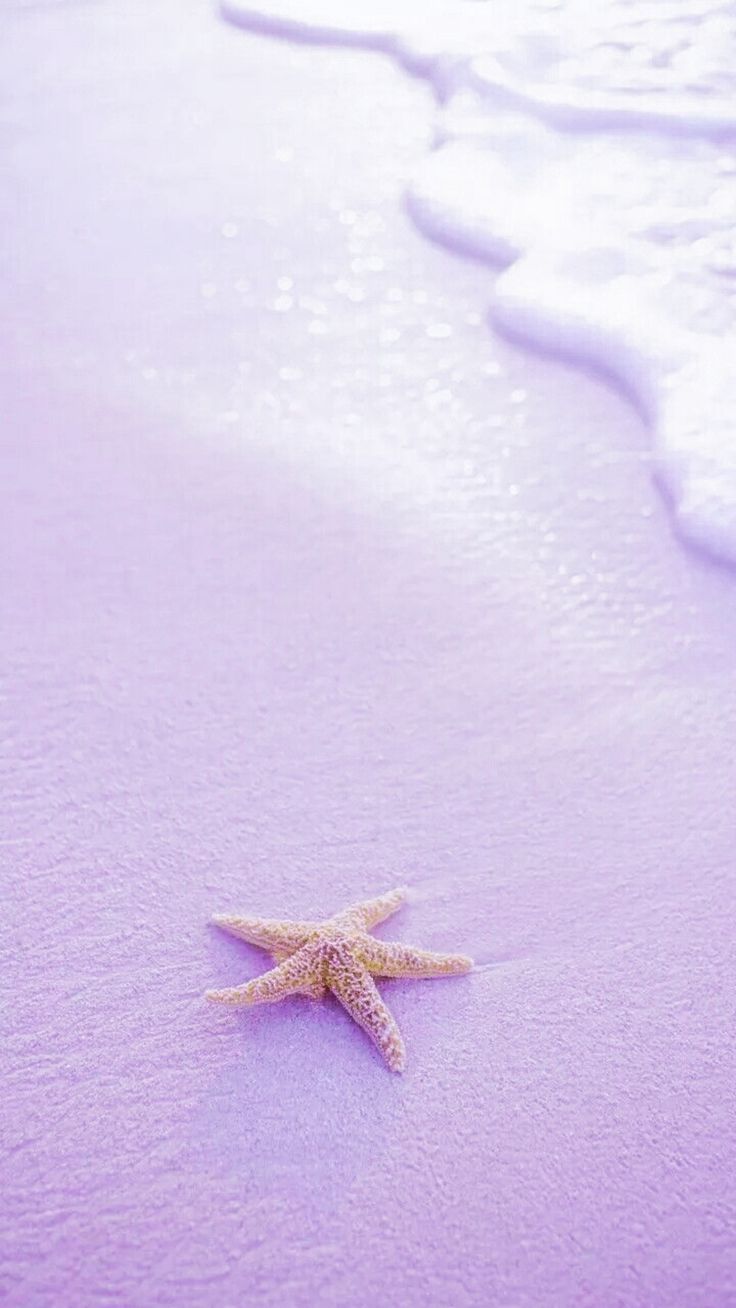 Purple lilas beach star. iPhone fondos