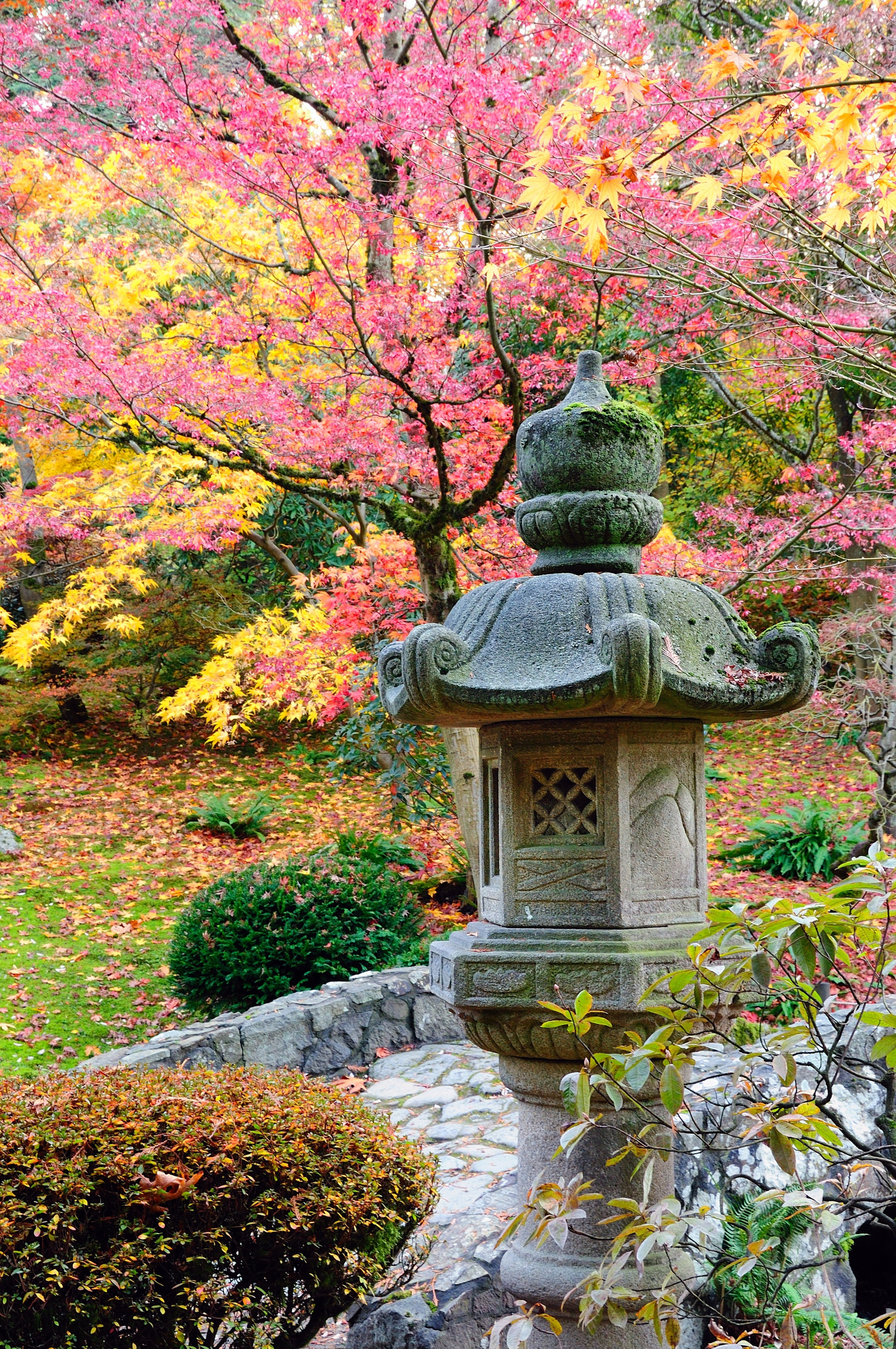 Autumn Japanese Garden Wall Mural