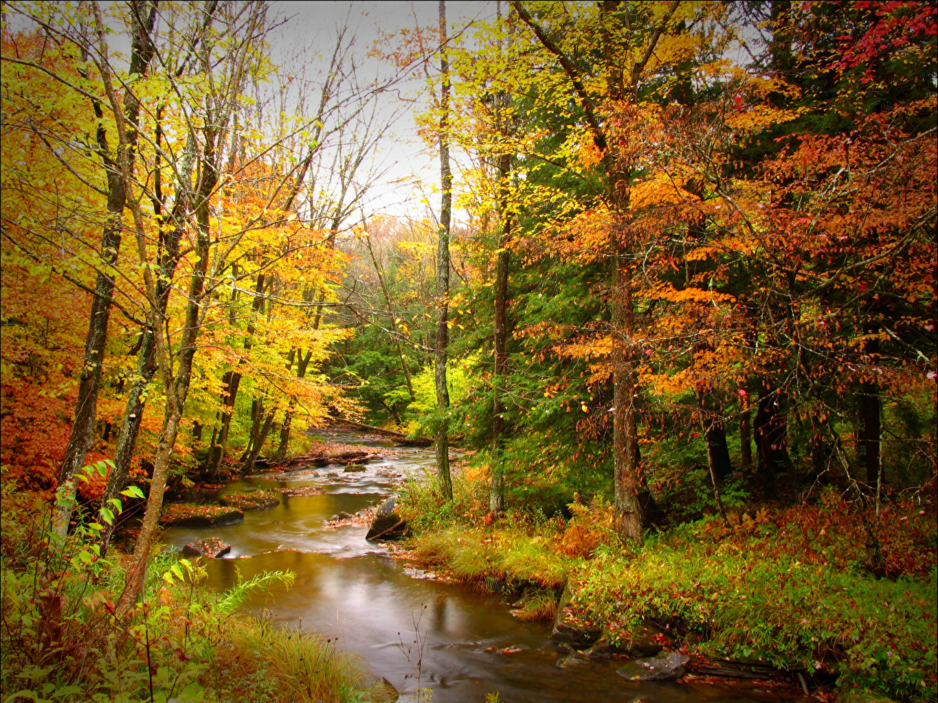 Wallpaper Autumn Nature forest Rivers