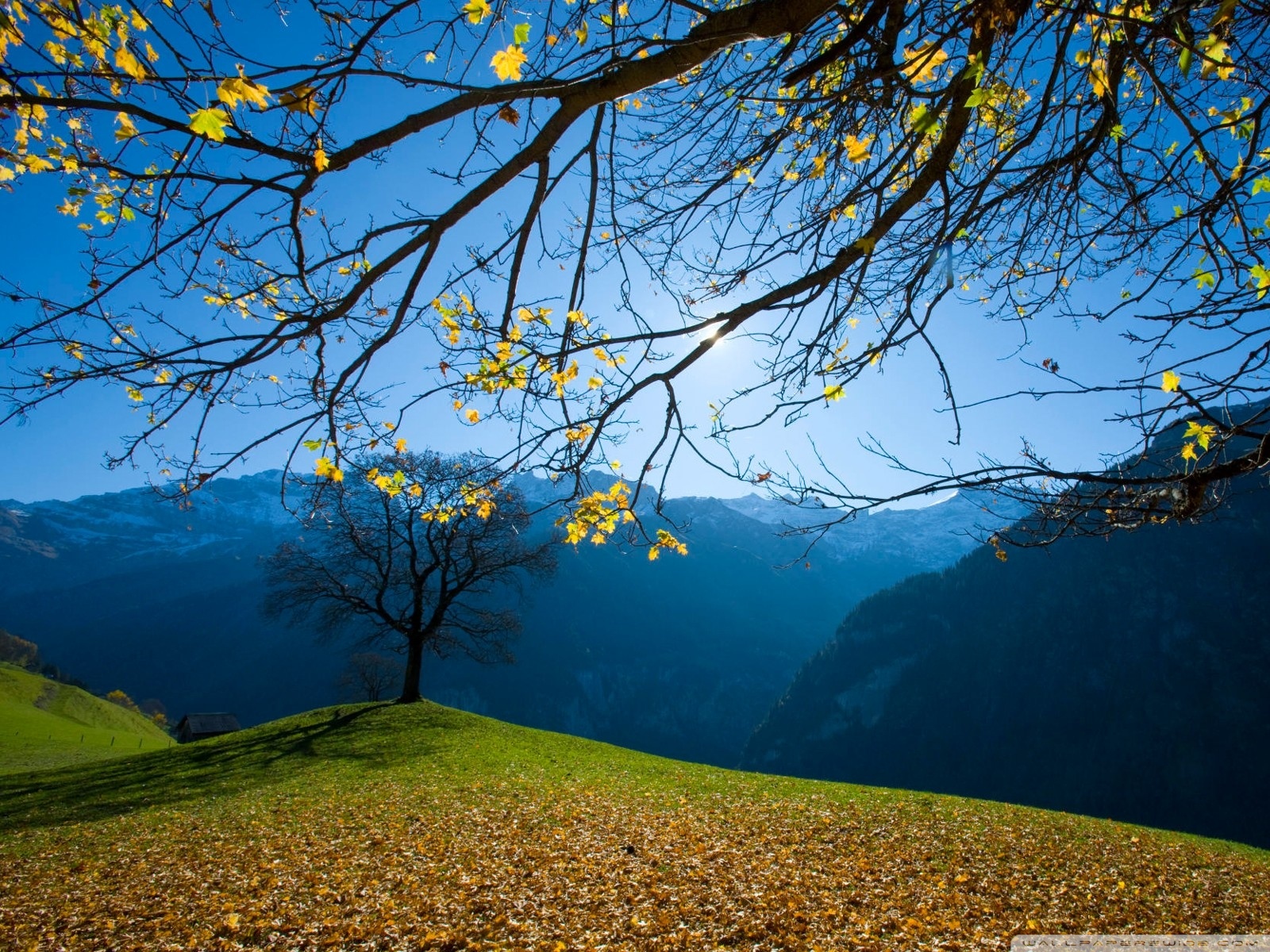 Ultra HD Wallpaper for 4K UHD TV