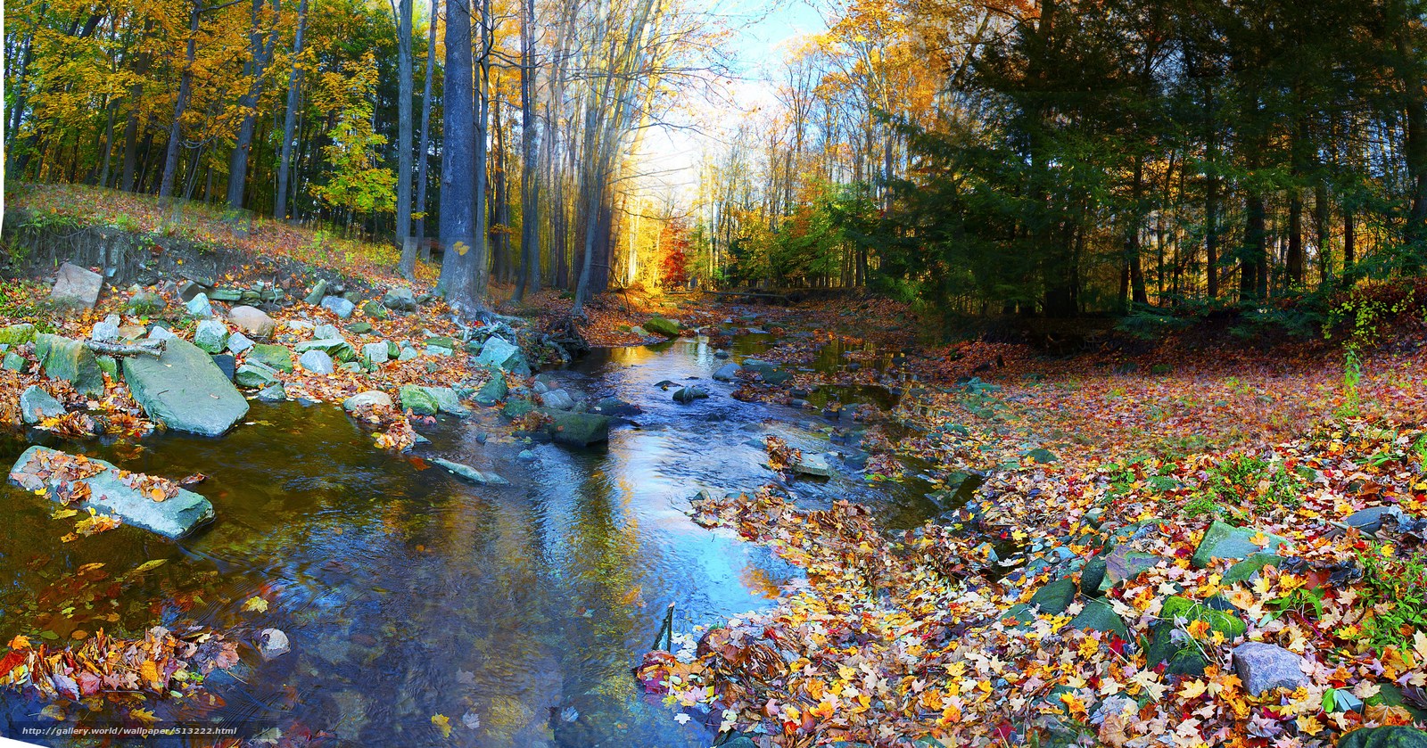 wallpaper autumn, forest, river, stones