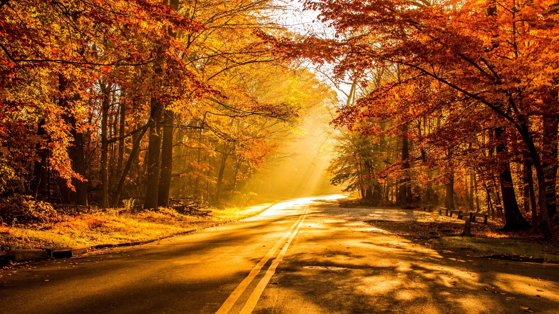 Sunshine on a Paved Autumn Road