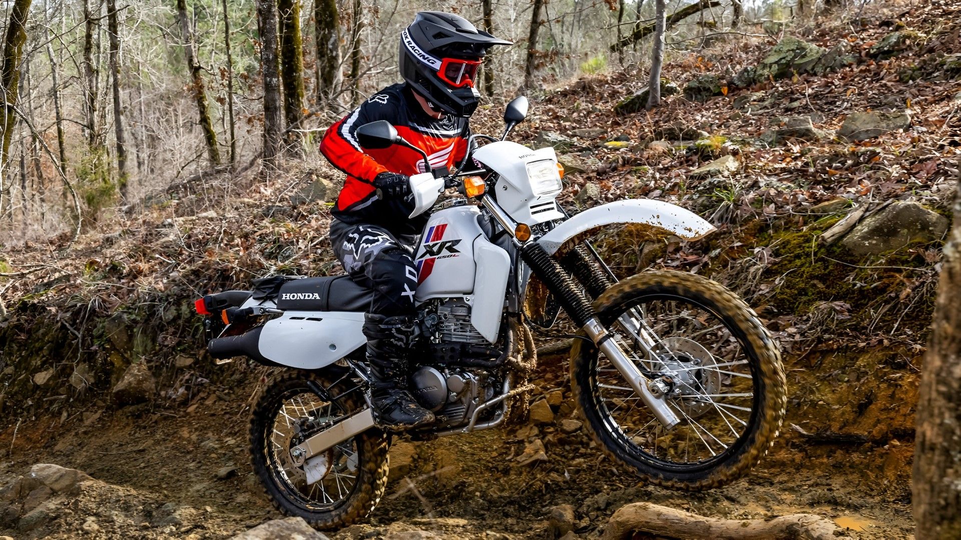 Desirable Dual Sport Motorcycles To