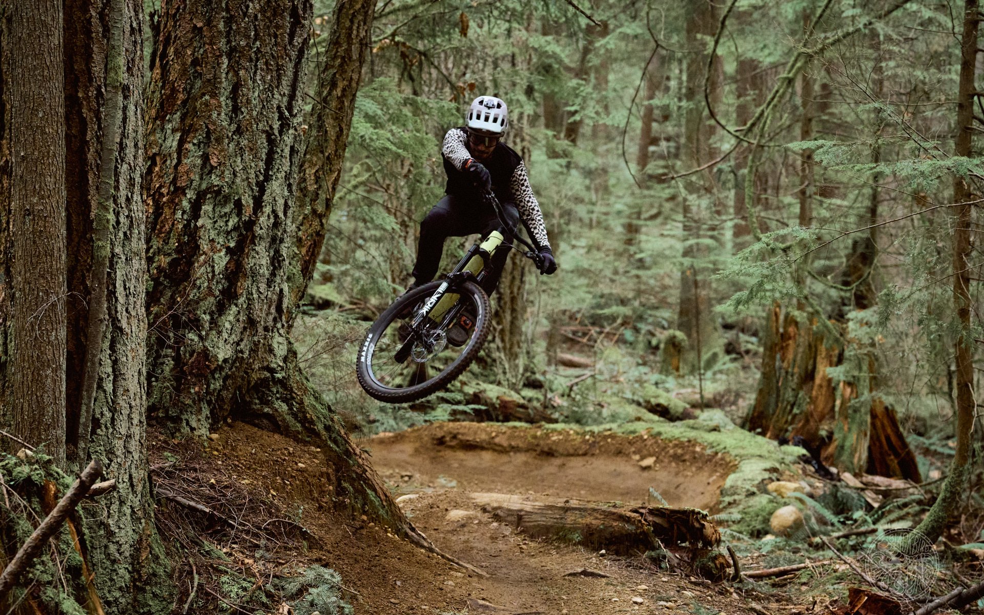 2024 Canyon Spectral Review