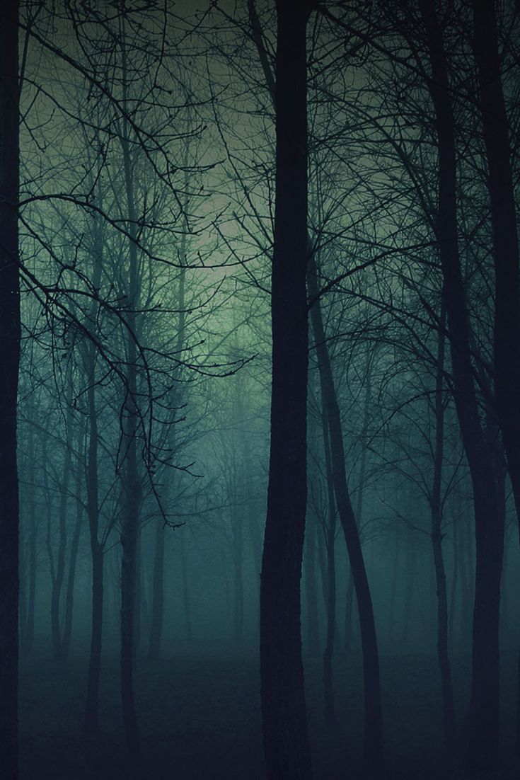 Dark Green Horror Woods. Creepy woods