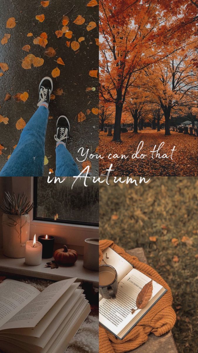 Autumn Collage Aesthetic Wallpaper, You Can Do That in Autumn