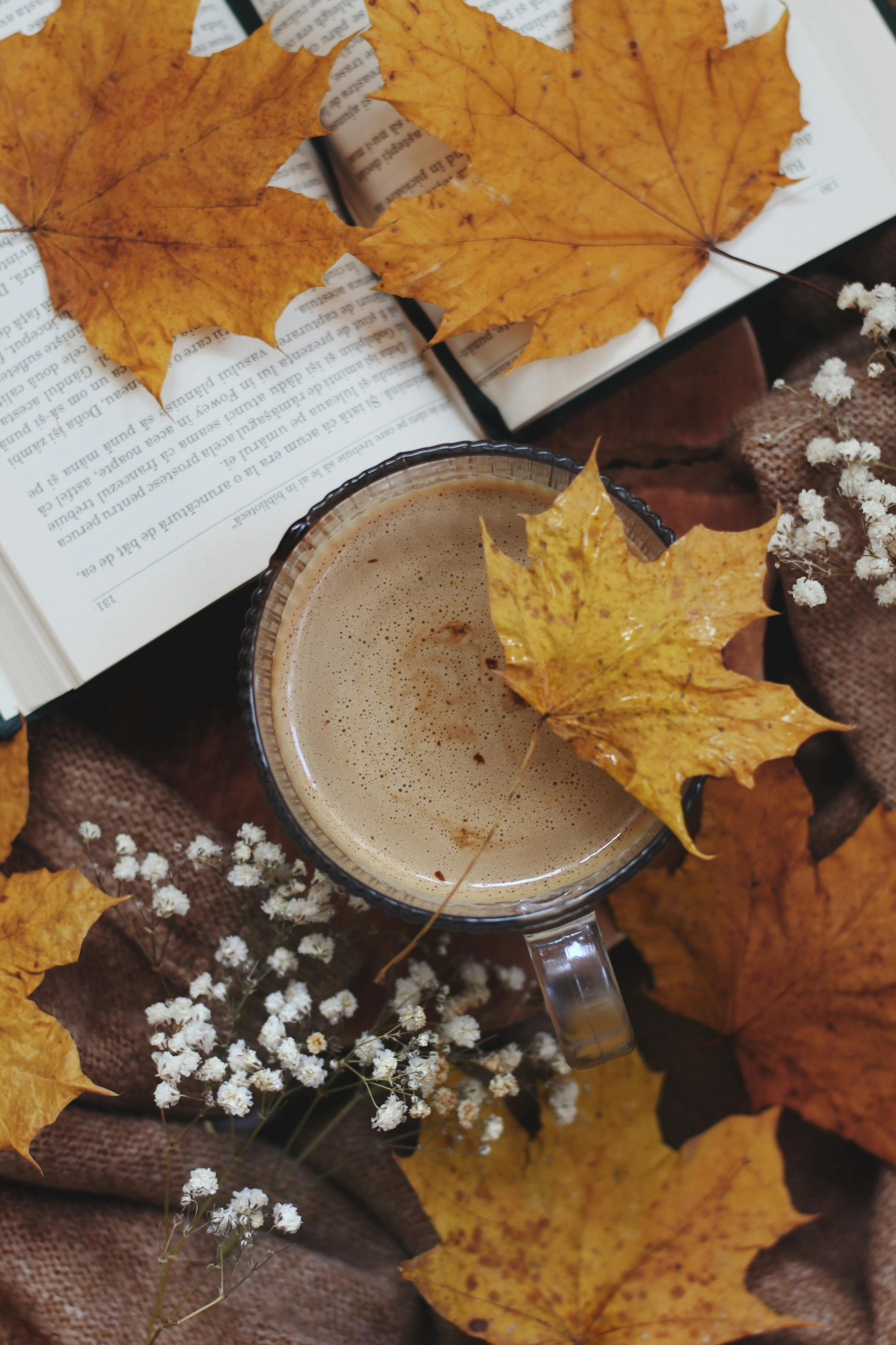 Autumn Decoration with Coffee and Book · Free