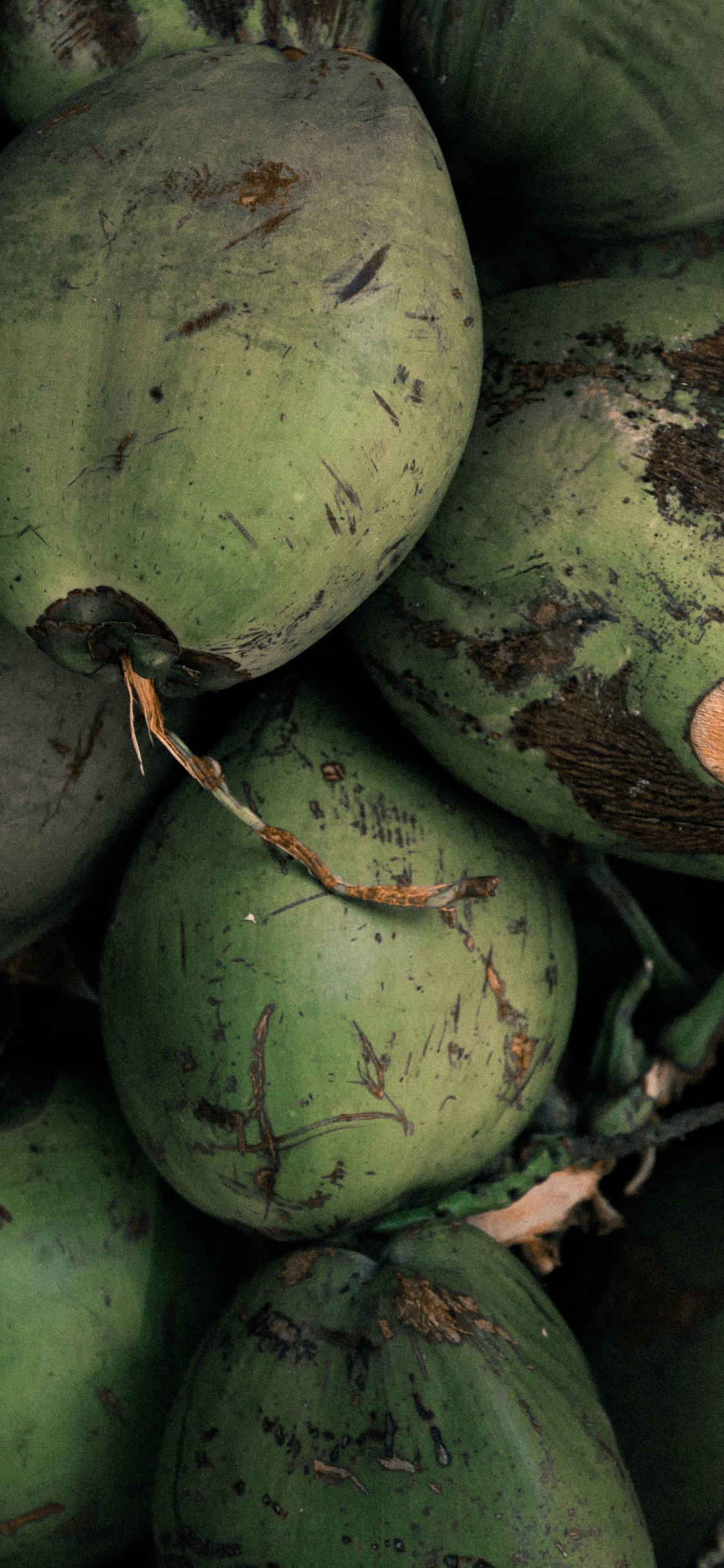 Download wallpaper 1125x2436 coconut