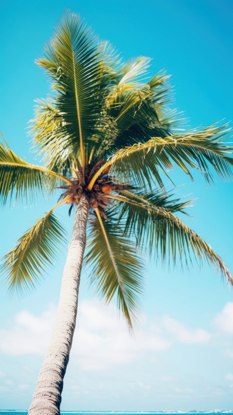 Wallpaper Green. Free Beautiful HD