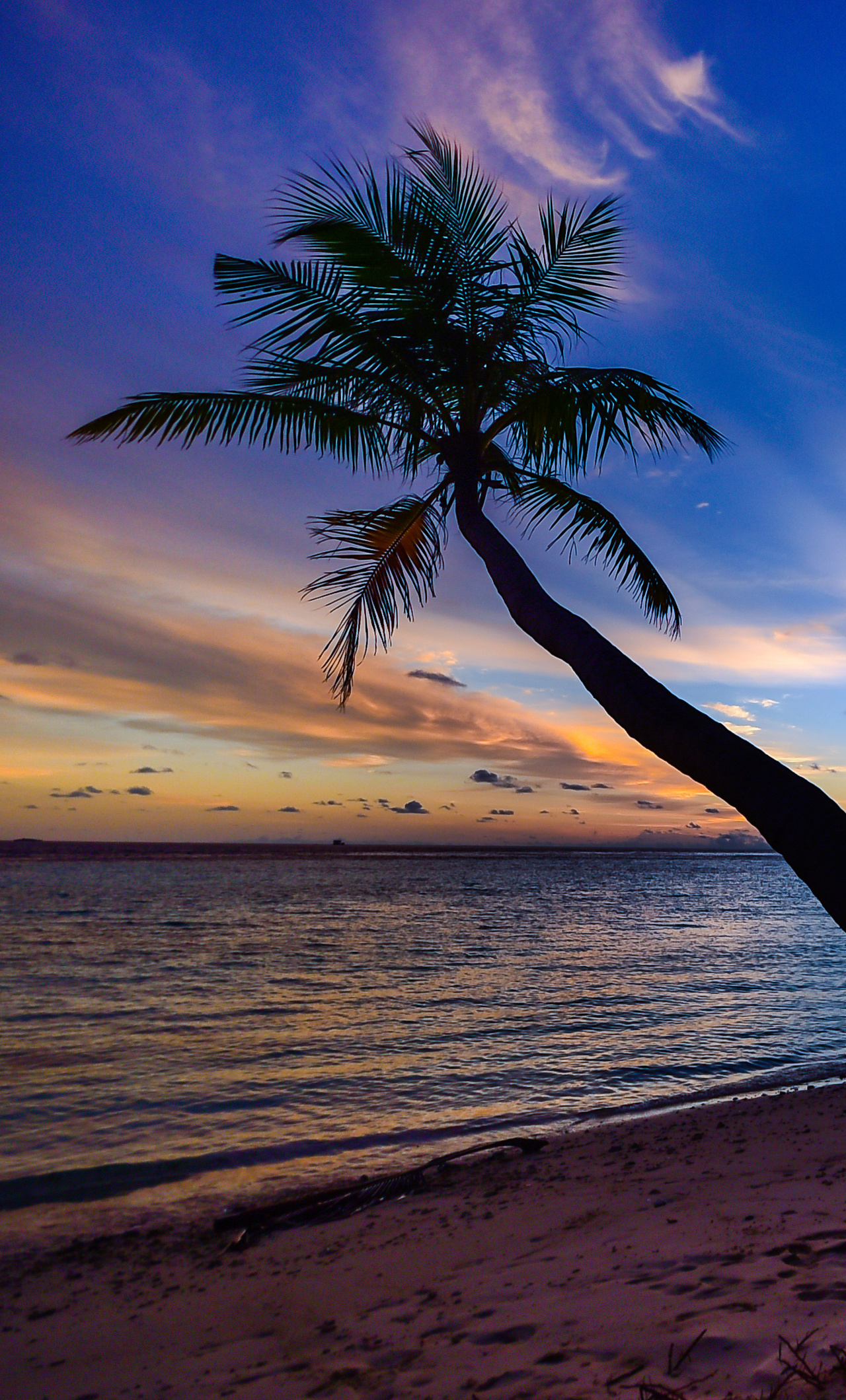 Coconut Trees Beach Clouds