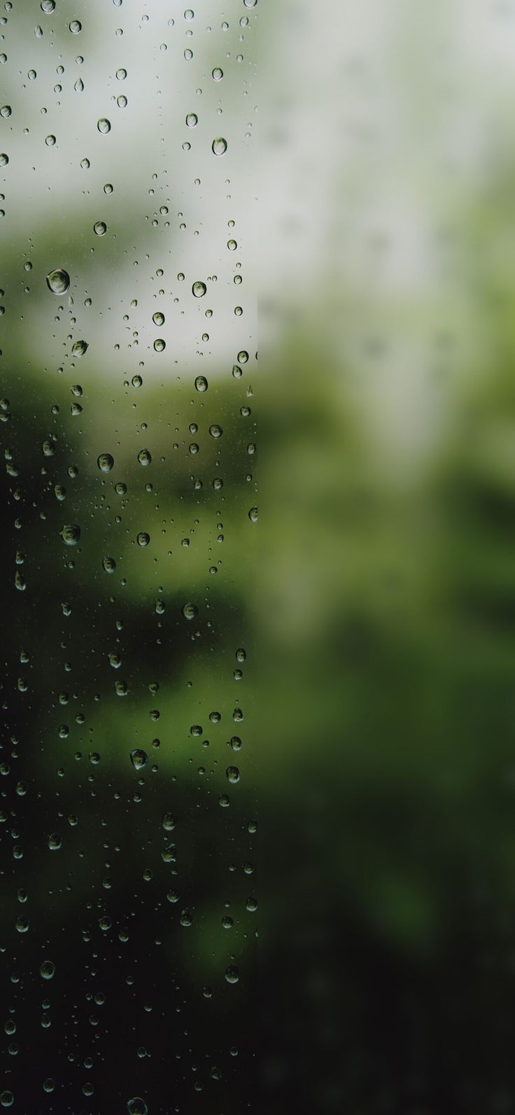 Unique Phone Wallpaper You Don't