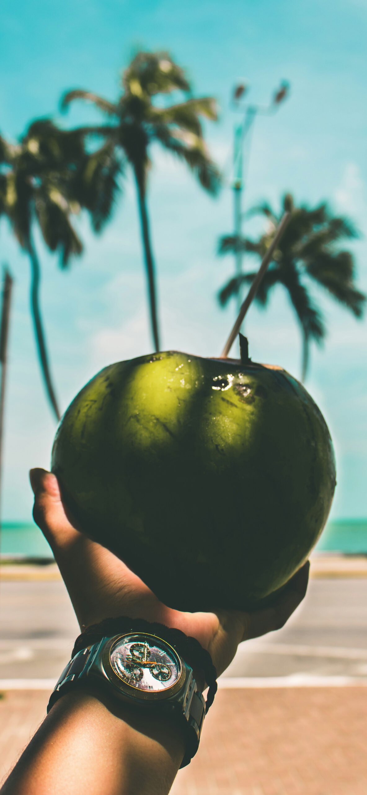 Coconut Wallpaper for iPhone 11, Pro