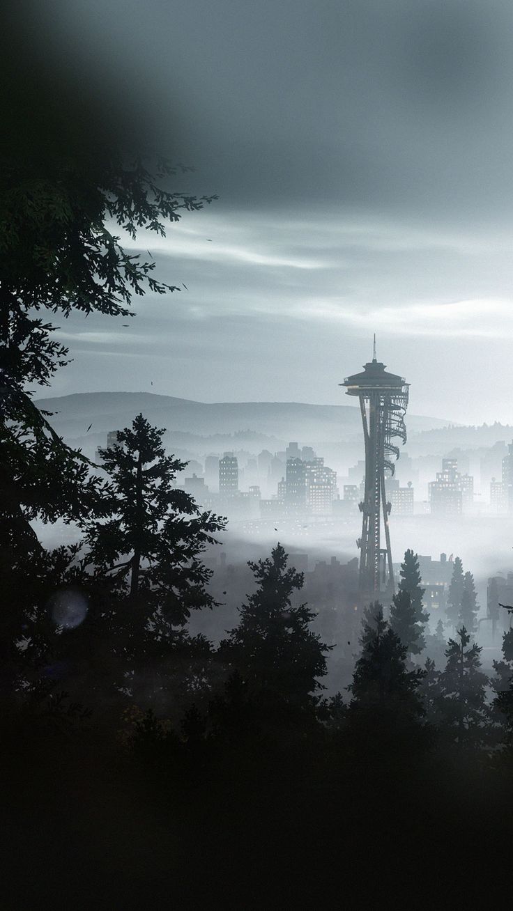 Seattle Forest City View Mist Fog