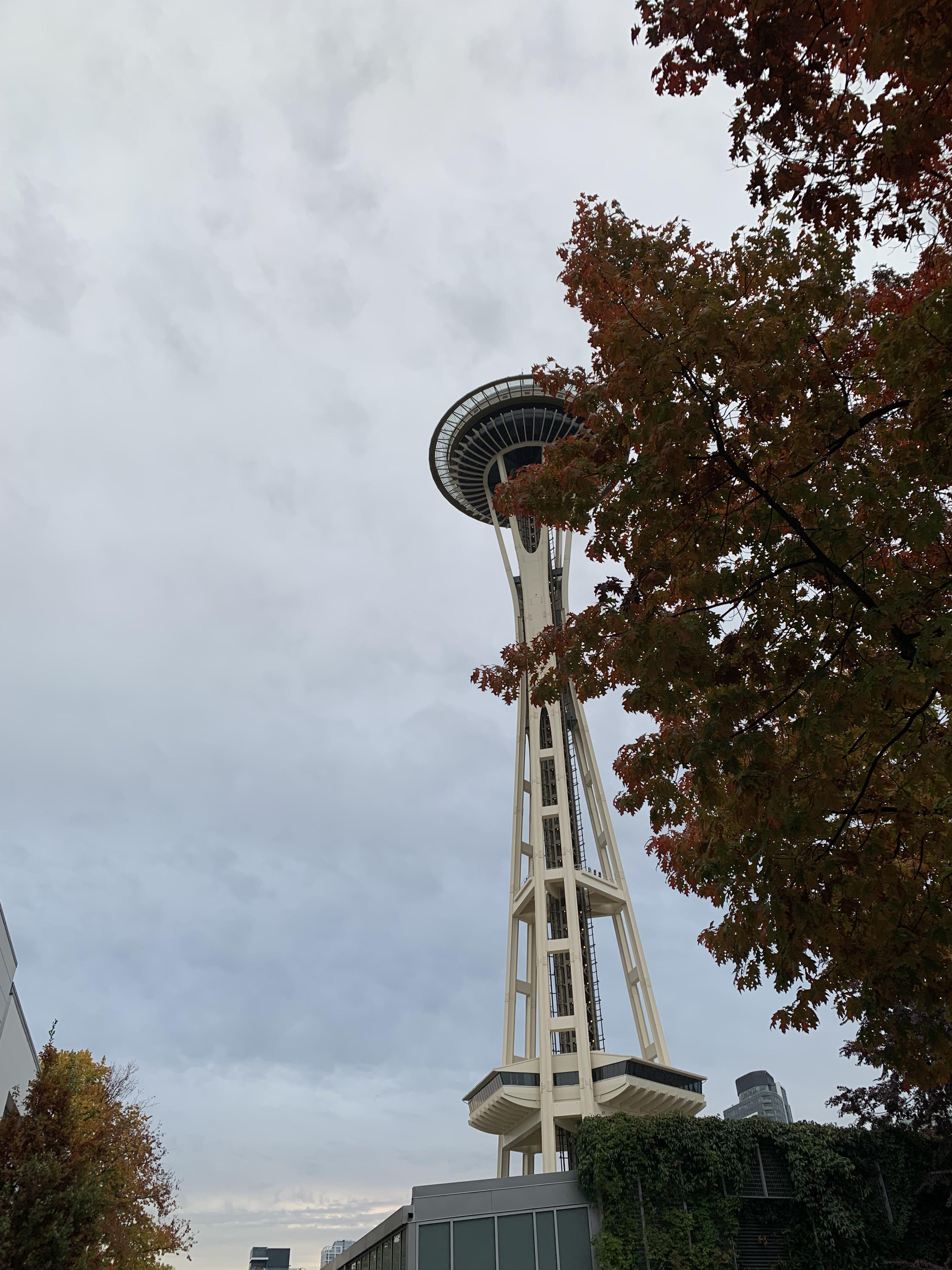 A morning in Seattle taken on iPhone XR
