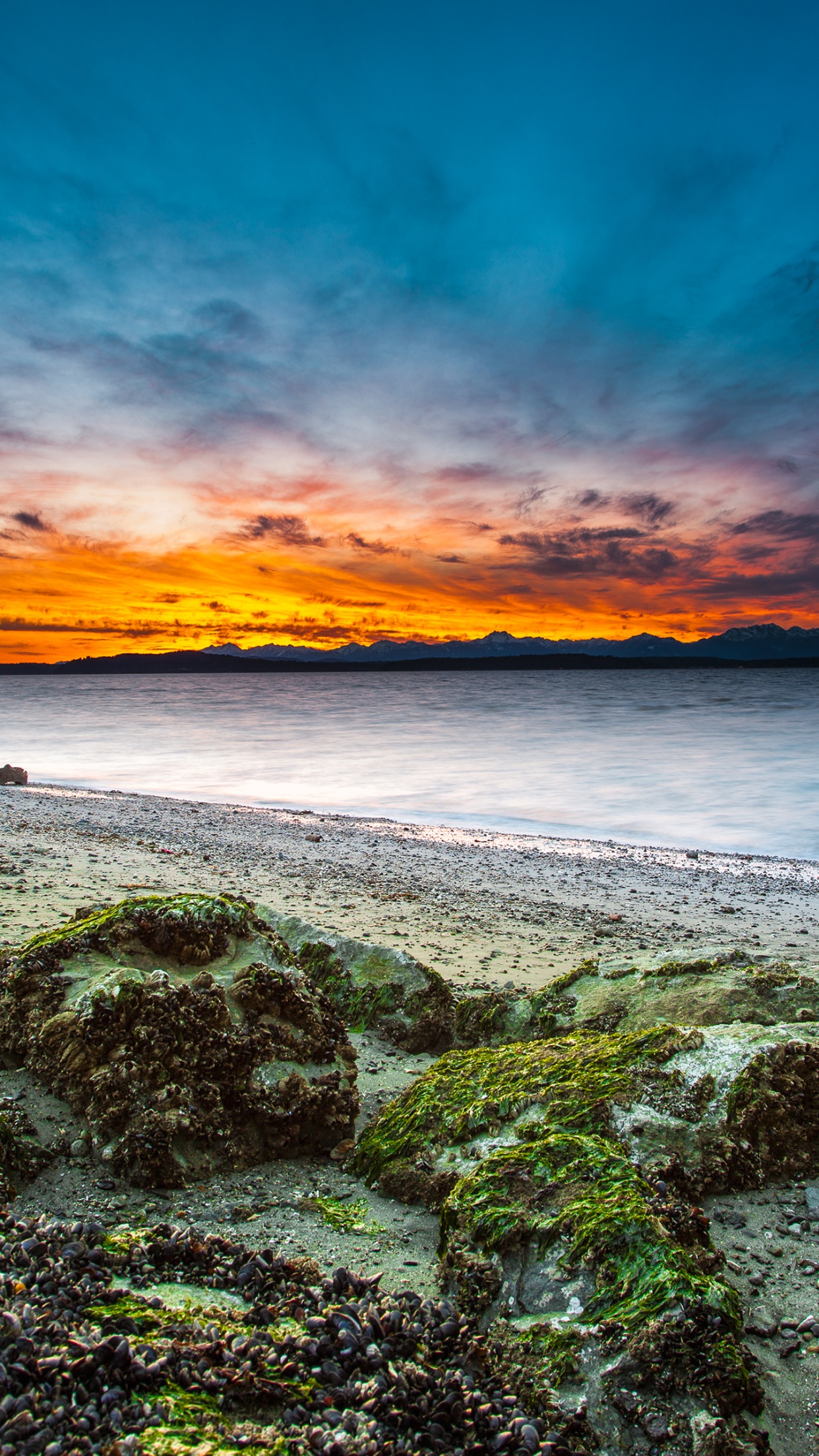 Alki Beach Wallpaper 4K, West Seattle