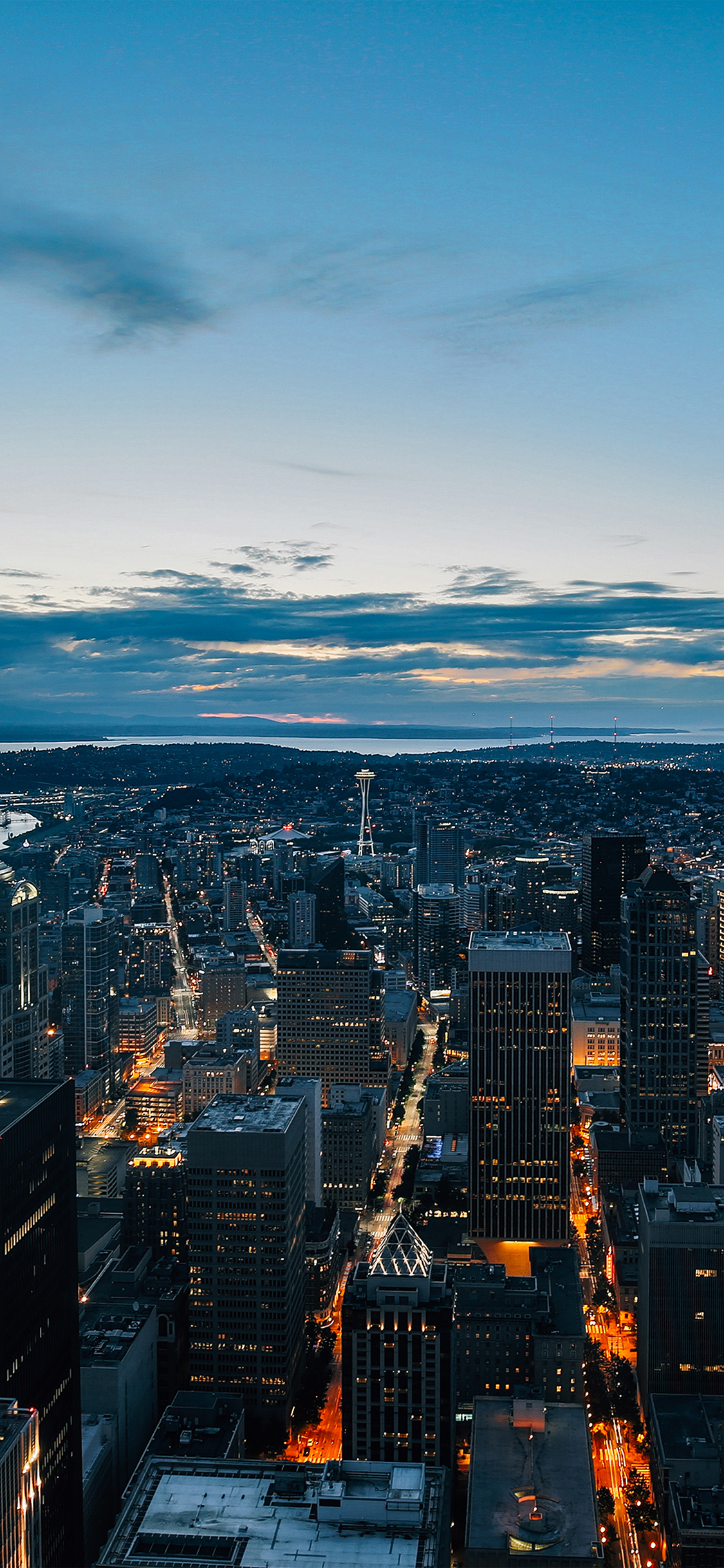 Night Sky Fly Sanfrancisco Usa Sea