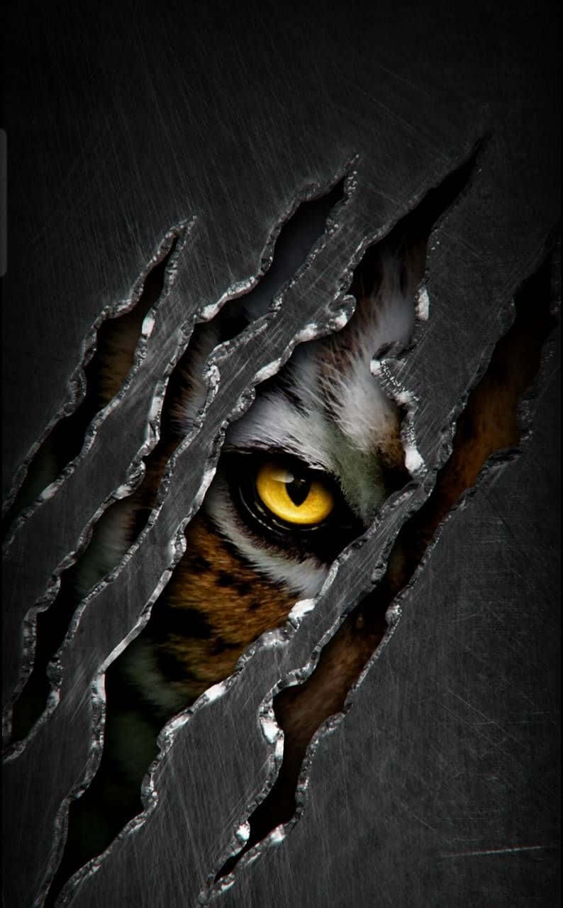 Tiger Phone Wallpaper