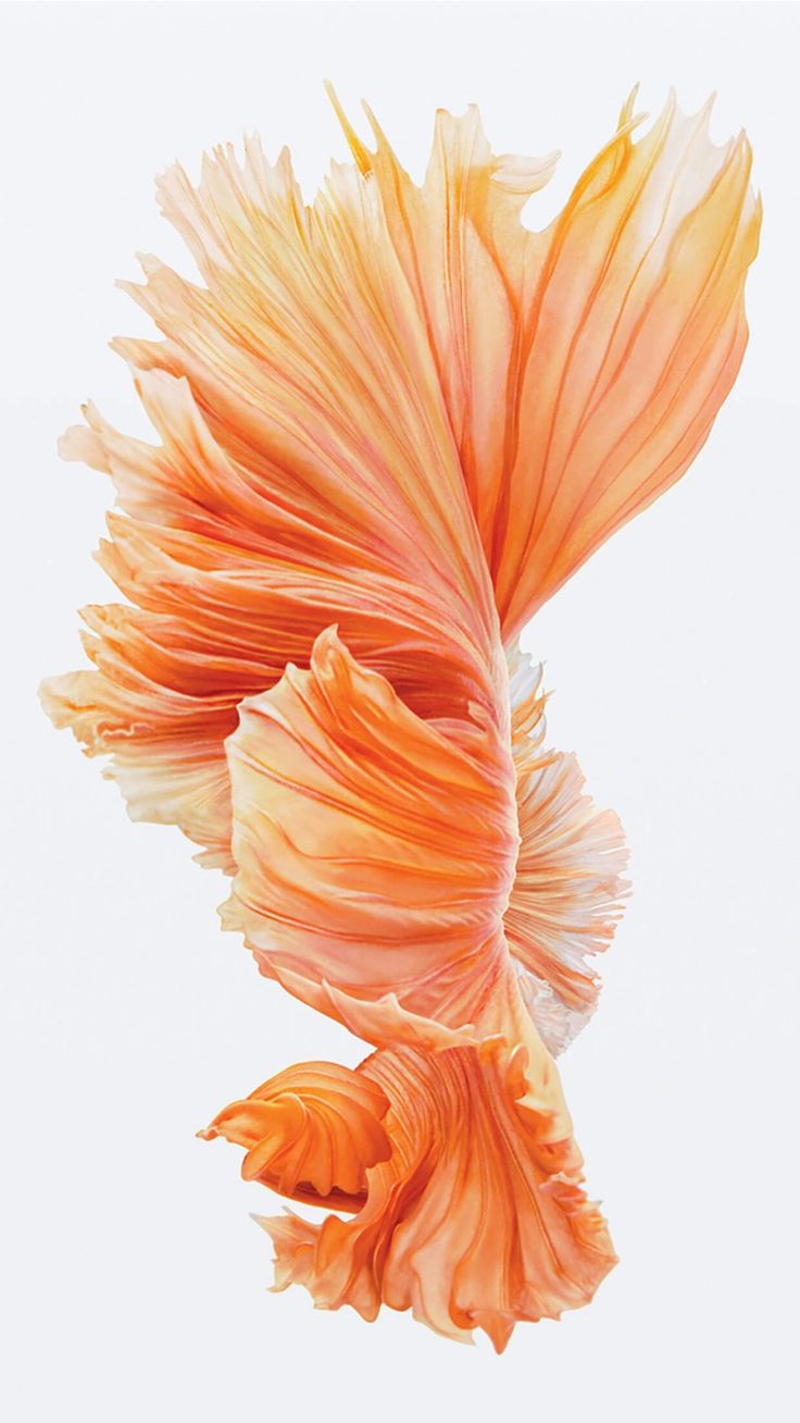 iPhone 6s wallpaper, Wallpaper iphone