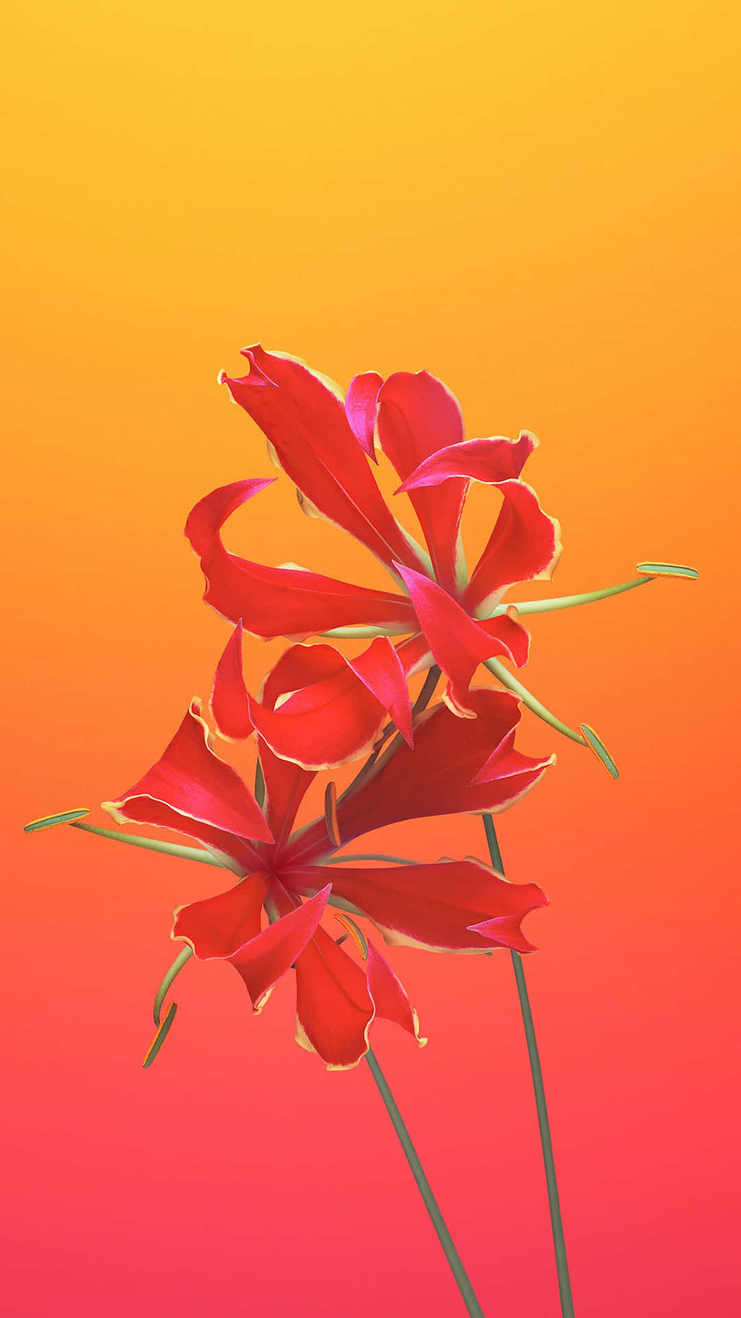 iPhone 6s Default Flame Lily Wallpaper