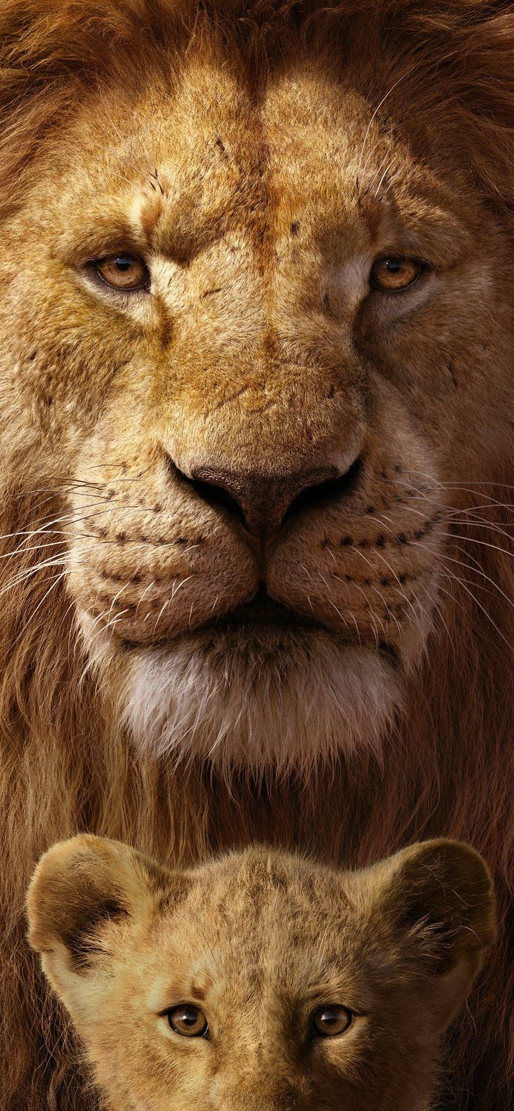 the lion king 8k iPhone 11 Wallpaper