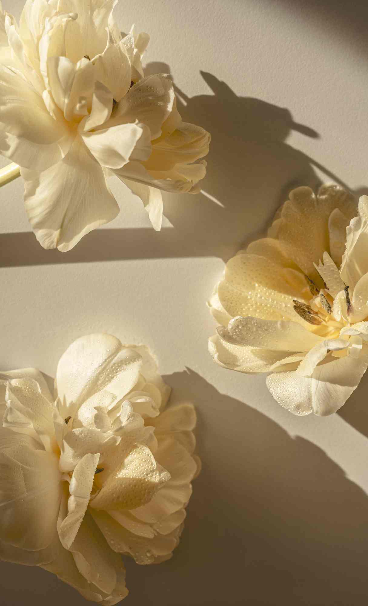 BEST iPhone Wallpaper HD