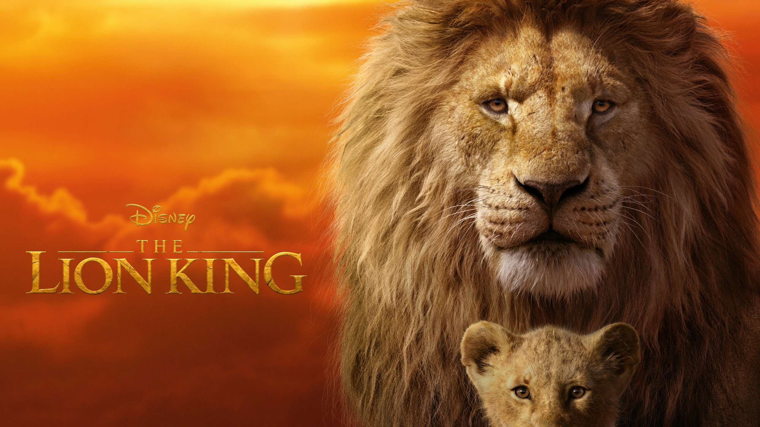 Download Simba Mufasa The Lion King