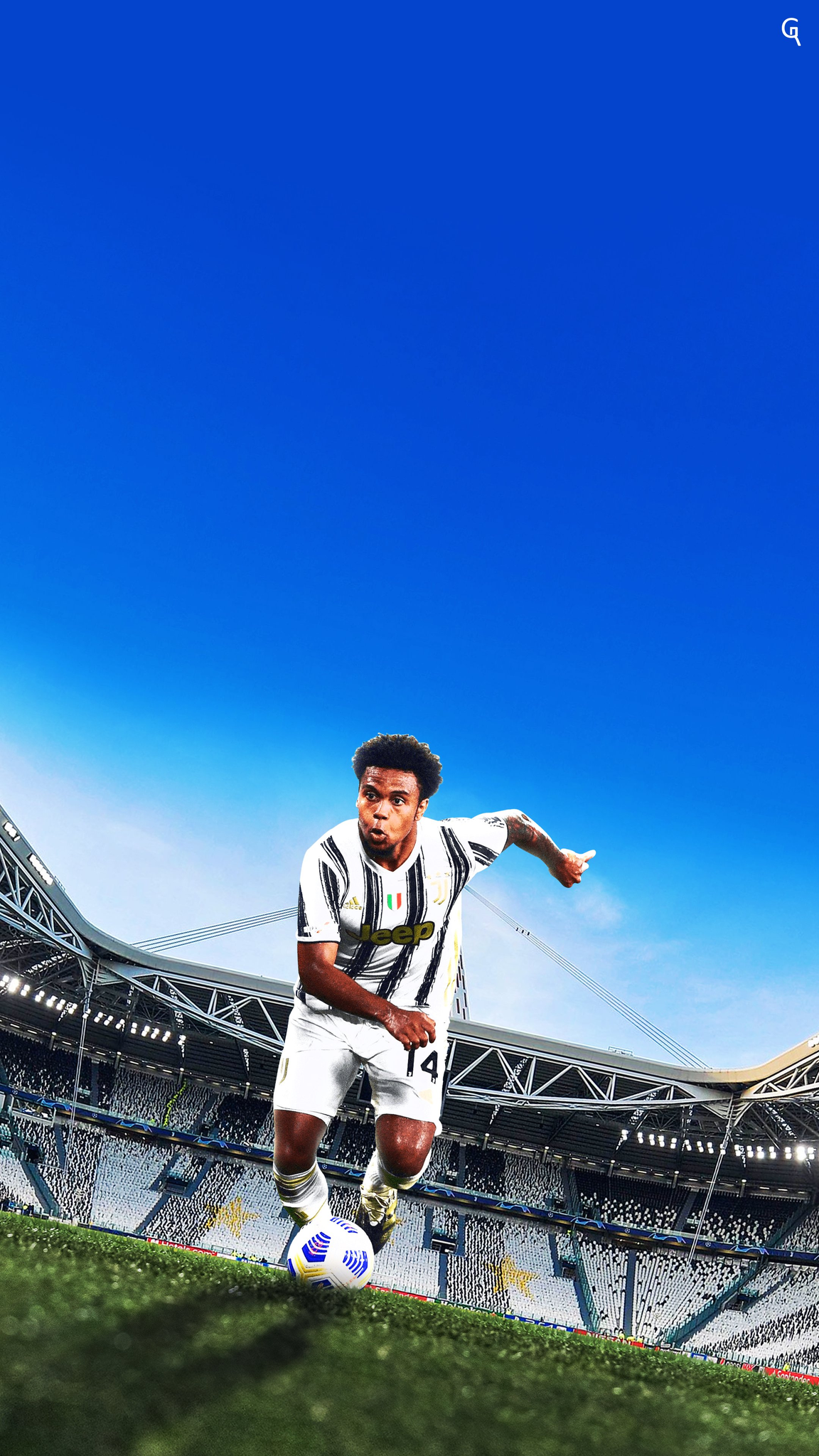 Weston McKennie Picture