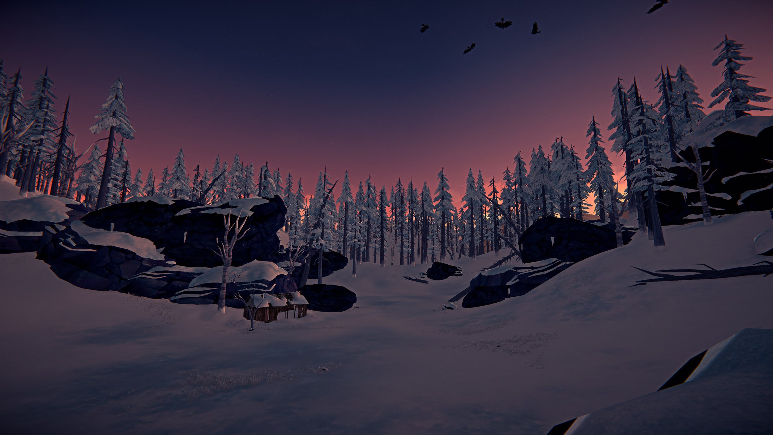 The Long Dark