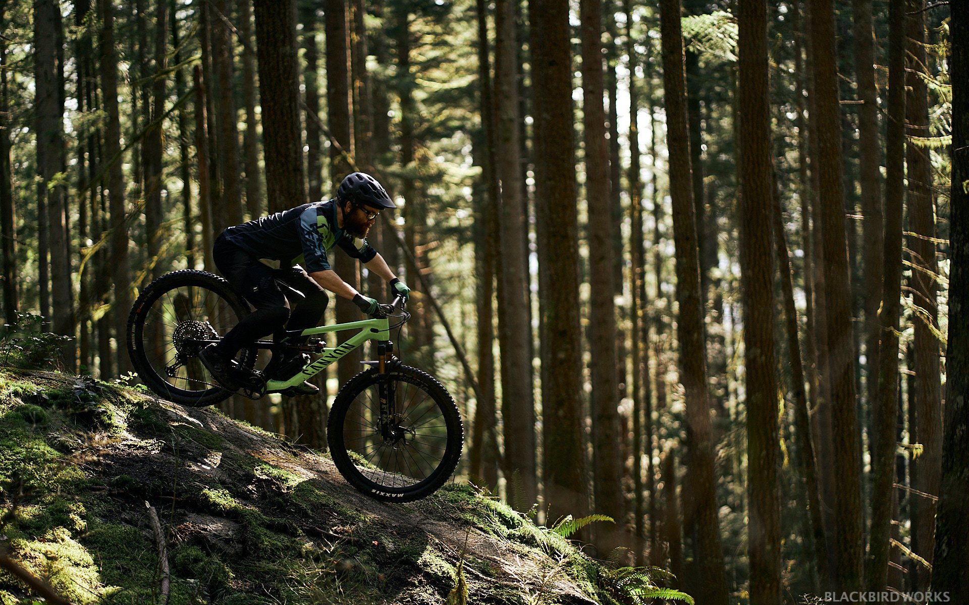 Canyon Spectral 29 LTD Term Review