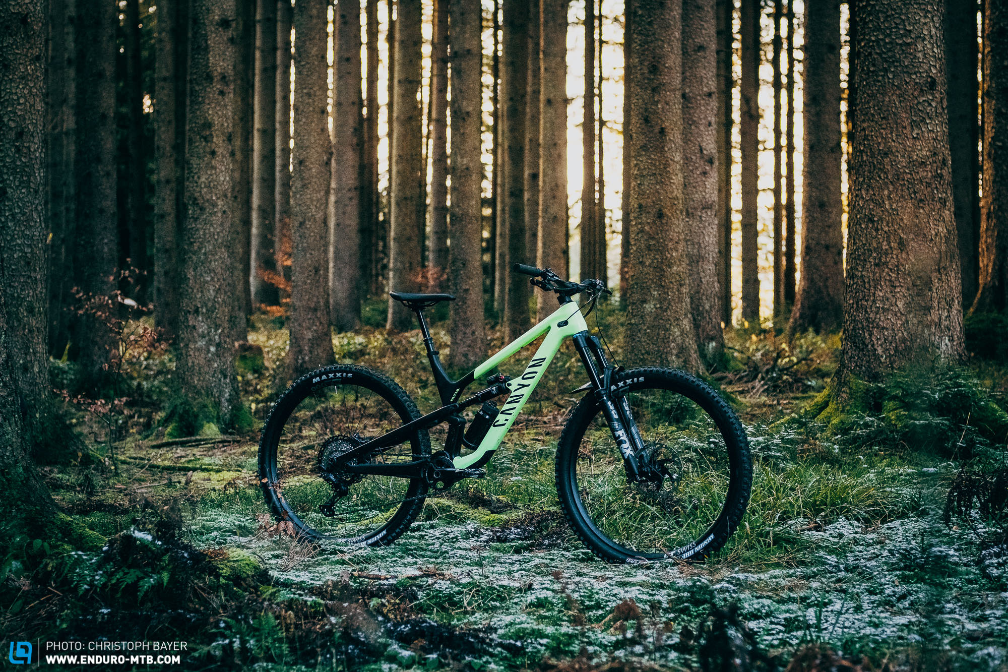 Canyon Spectral 29 CF 2021 in review