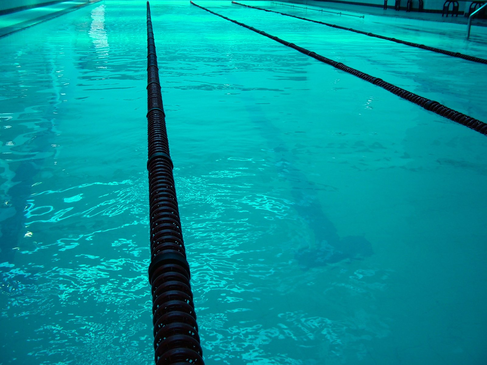 Olympic Swimming Pool 2 Free Photo
