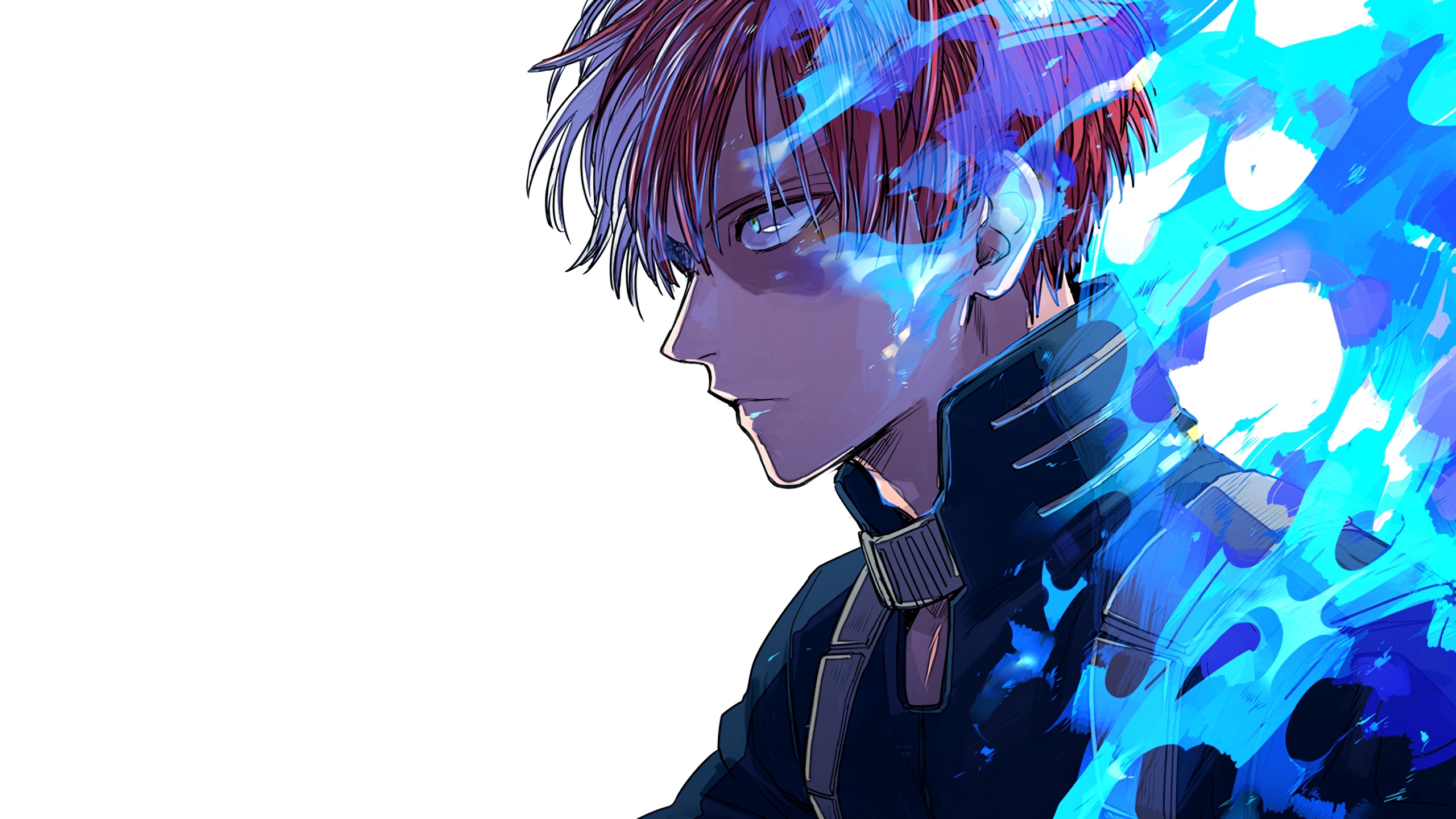 Shoto Todoroki My Hero Academia Anime