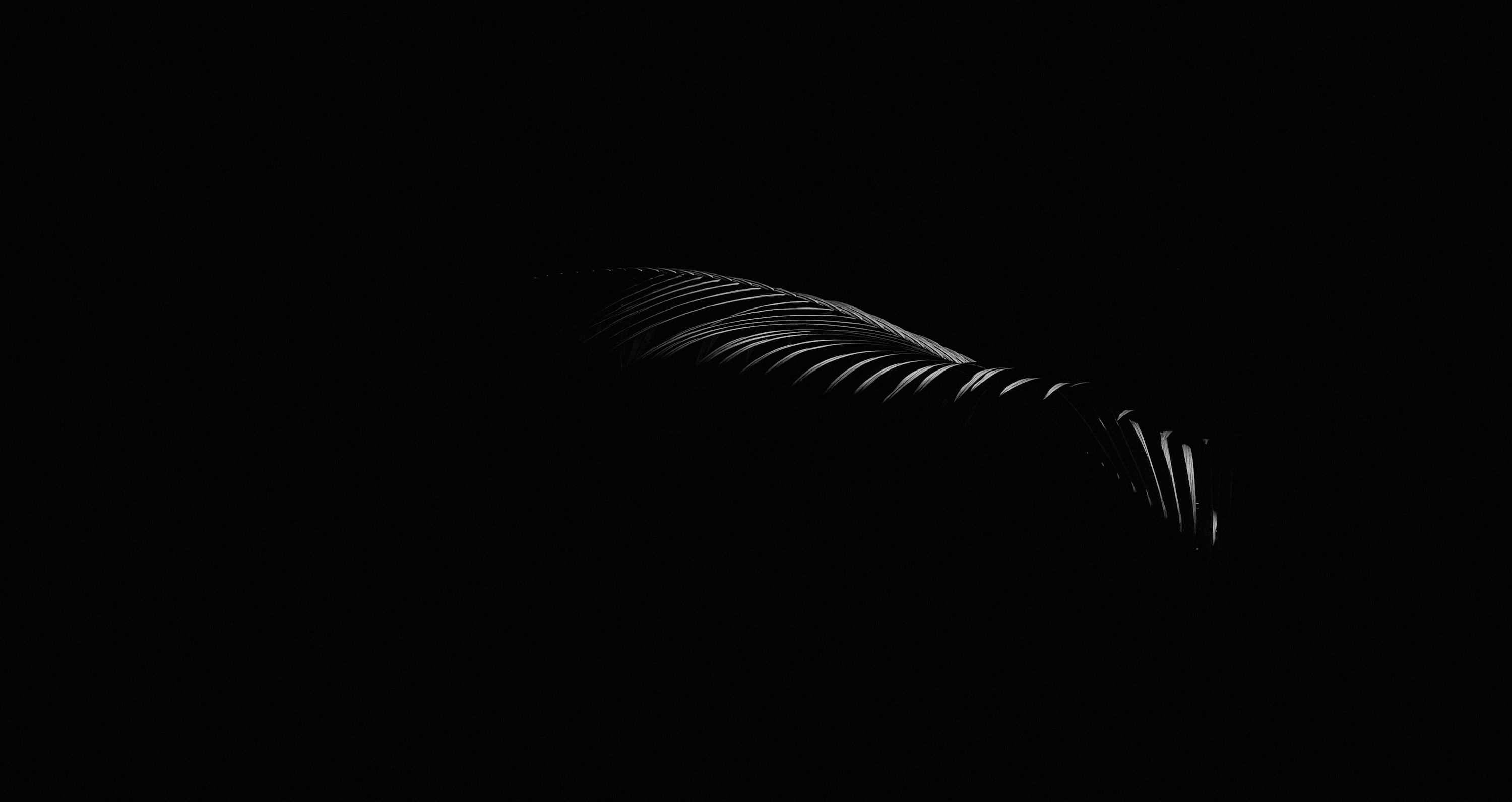 Black Wallpaper: Free HD Download
