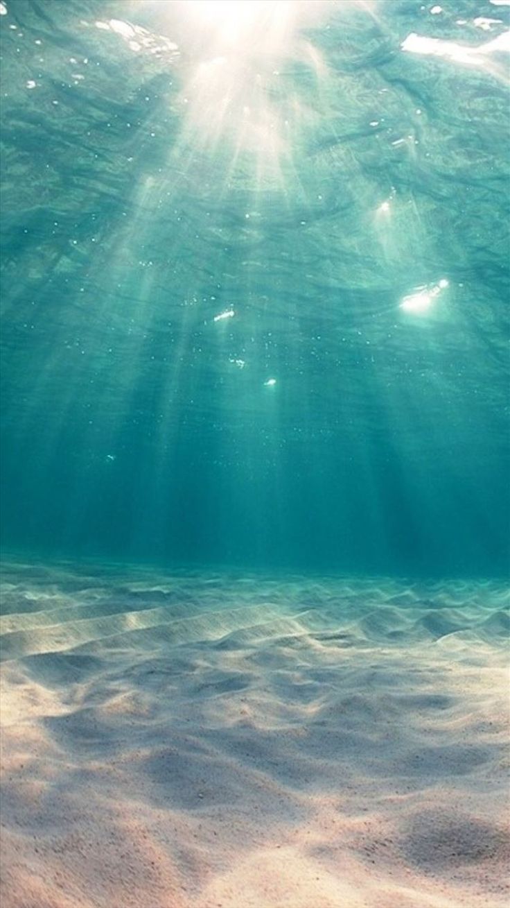 Sunshine Undersea Ocean View Deep iPhone 8 Wallpaper