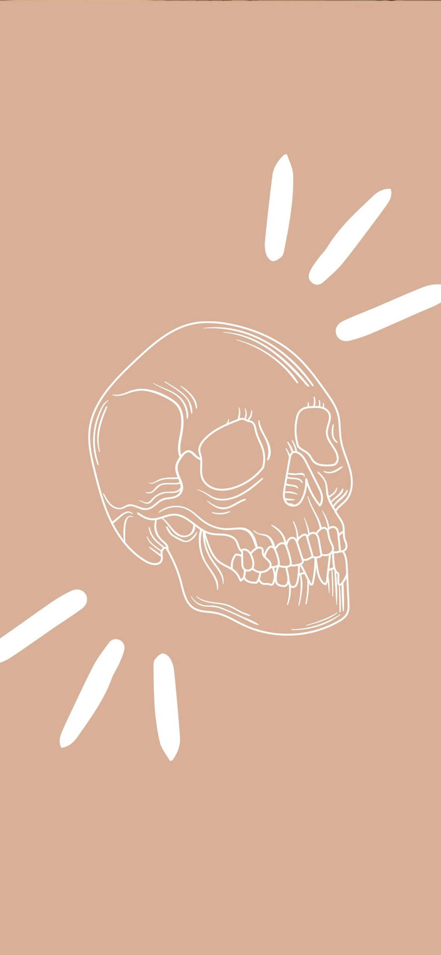 Download free White Skull Beige