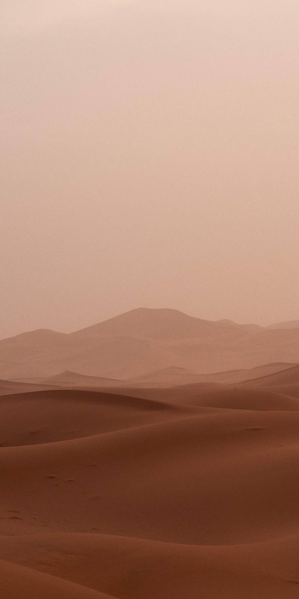 Beige Aesthetic Phone Wallpaper