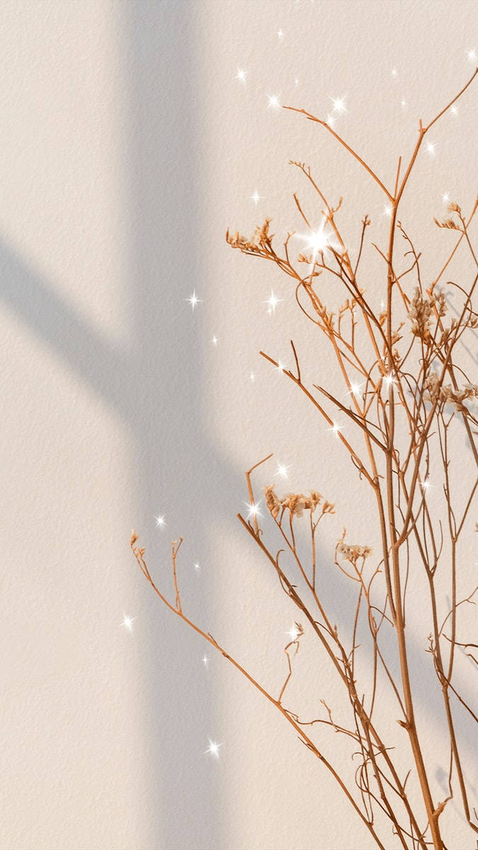Download free Beige Aesthetic Phone