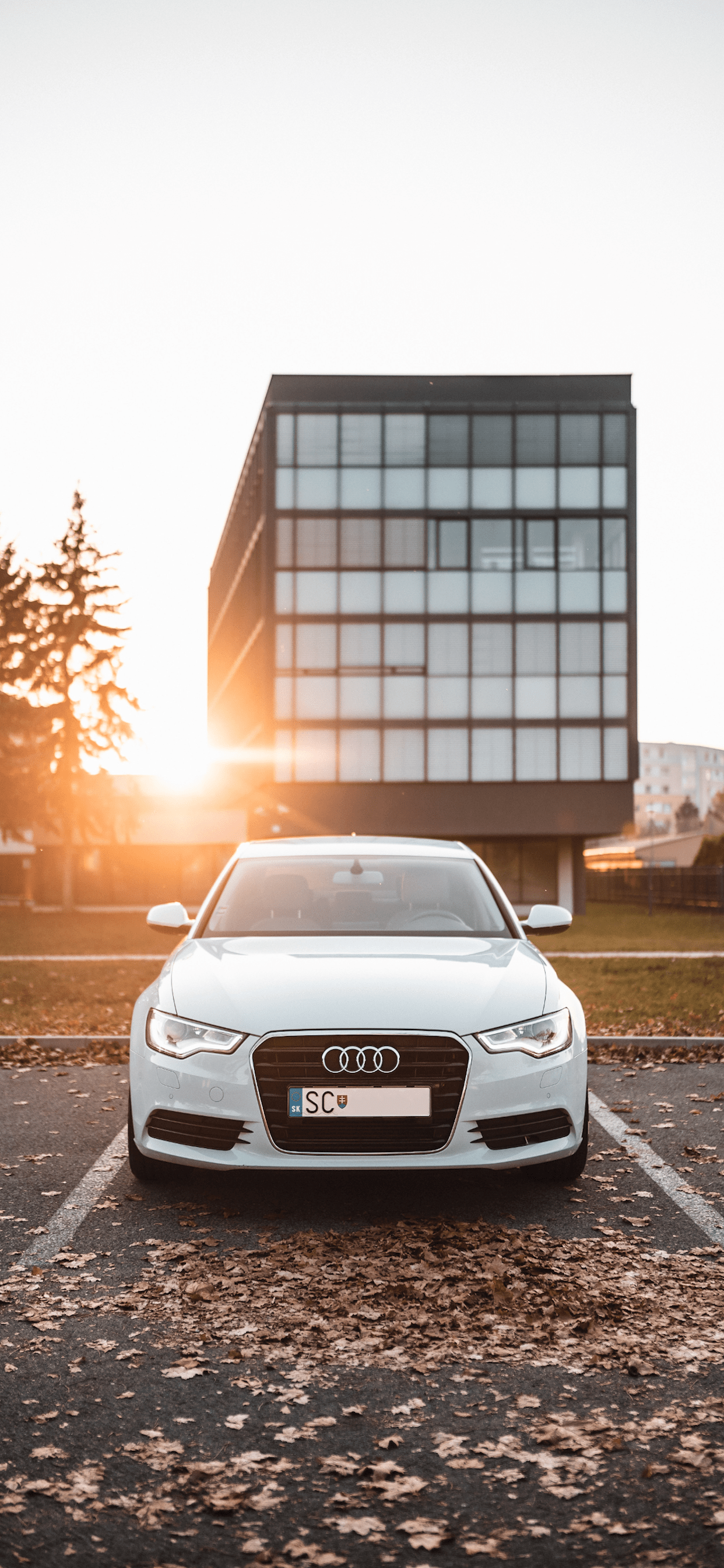 Audi Wallpaper for iPhone 11, Pro Max
