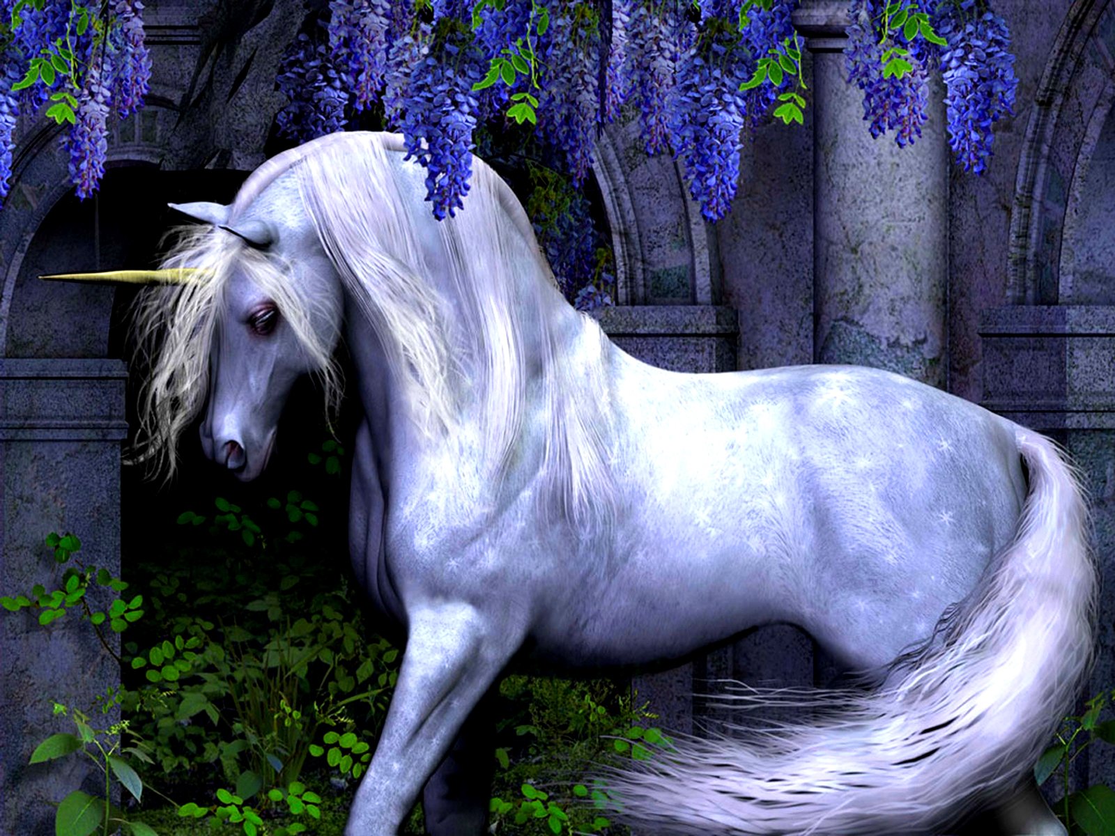 Enchanted Unicorn HD Wallpaper