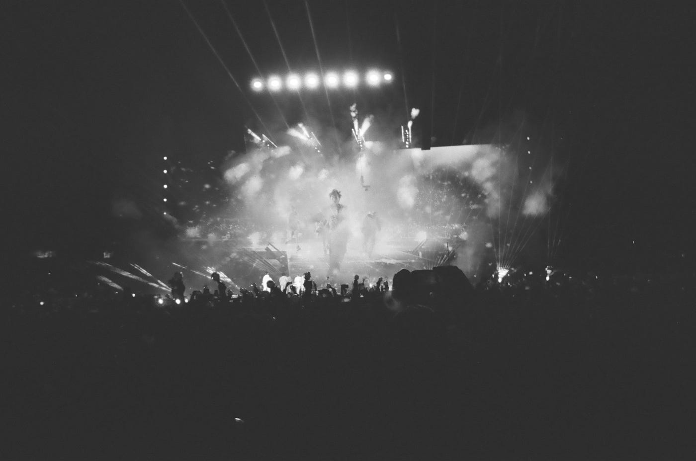 Disposable Camera To Every Concert