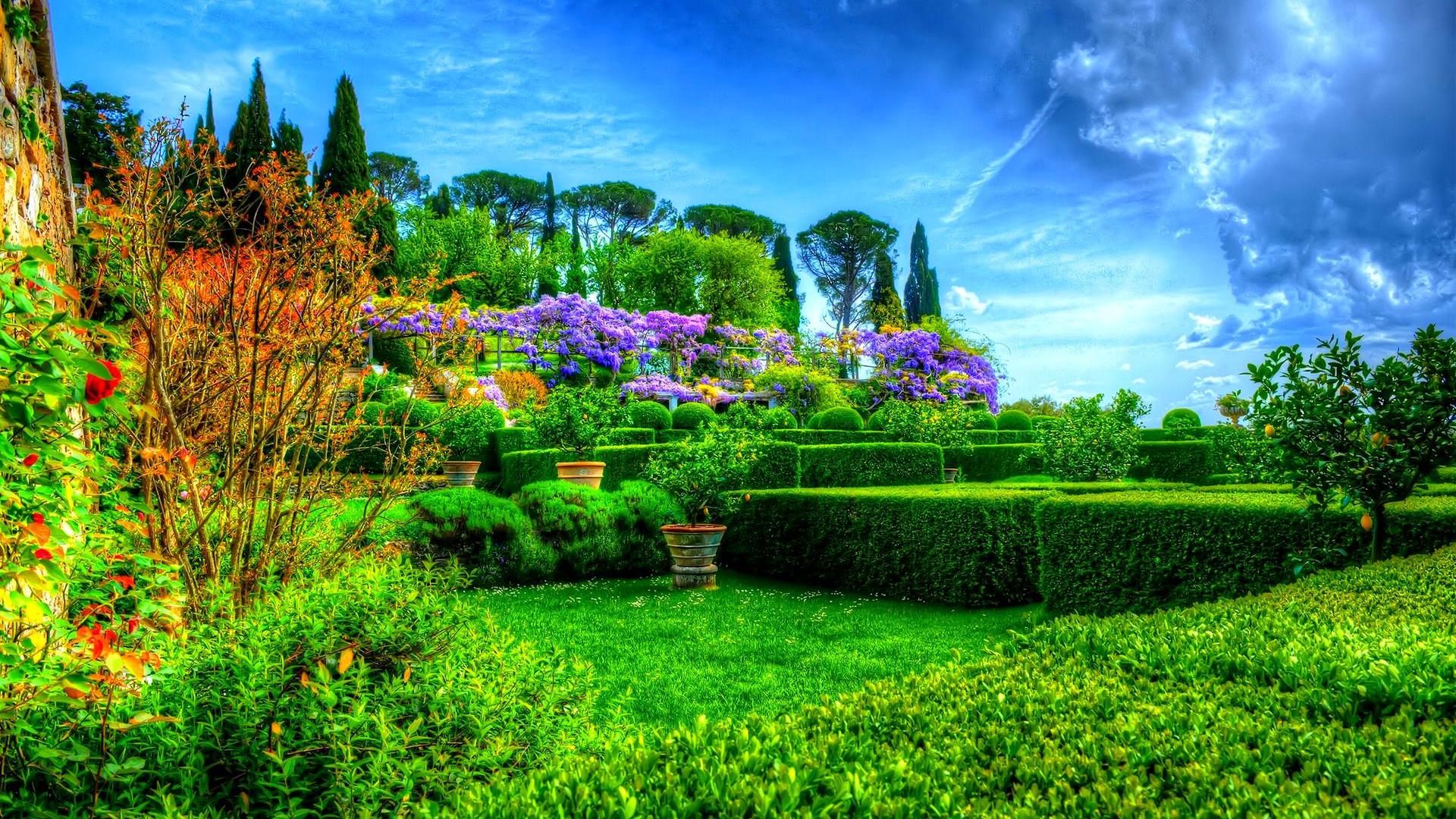 Download Garden HDR Grass Bush Tree